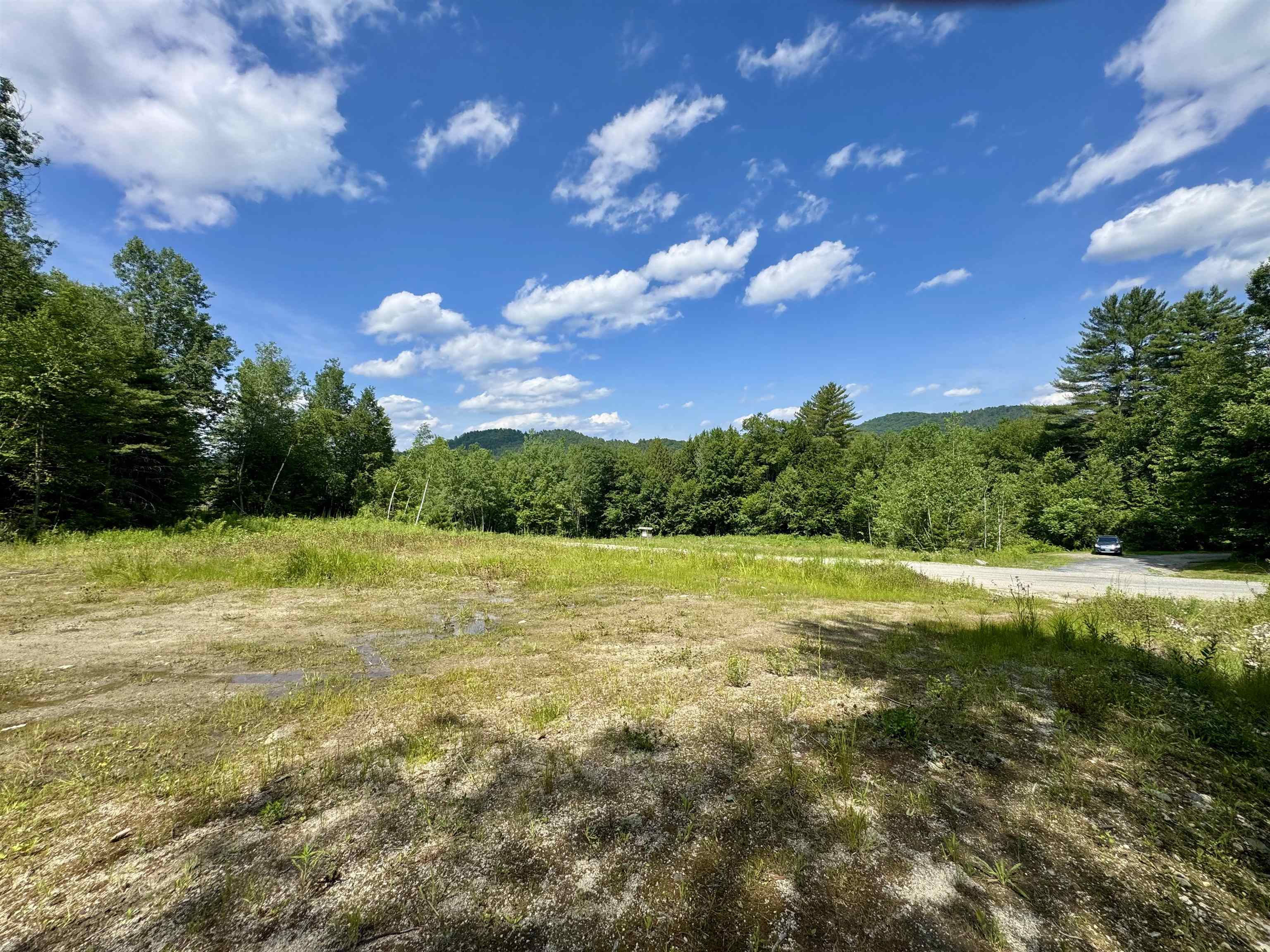 Open, level clearing with mountain views and easy road access