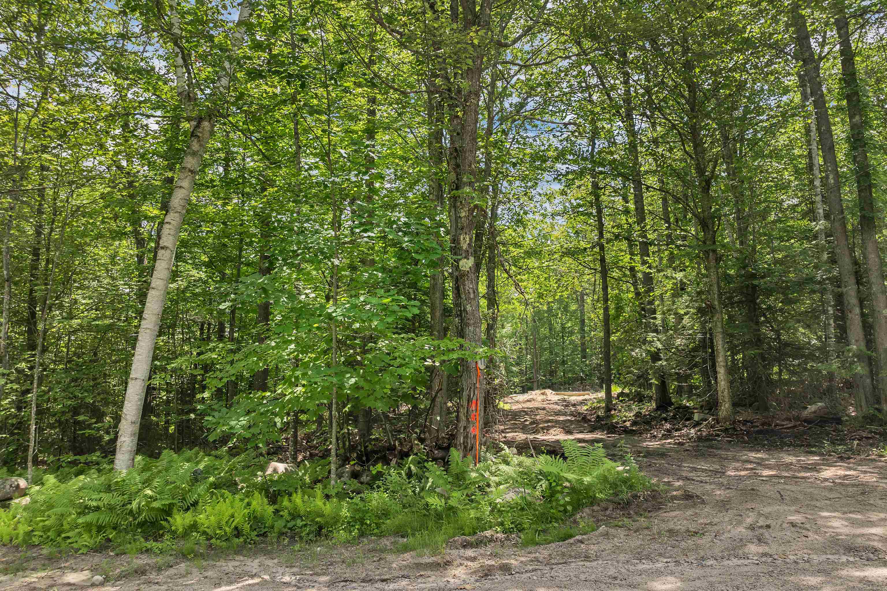 MLS #5049923 image #27