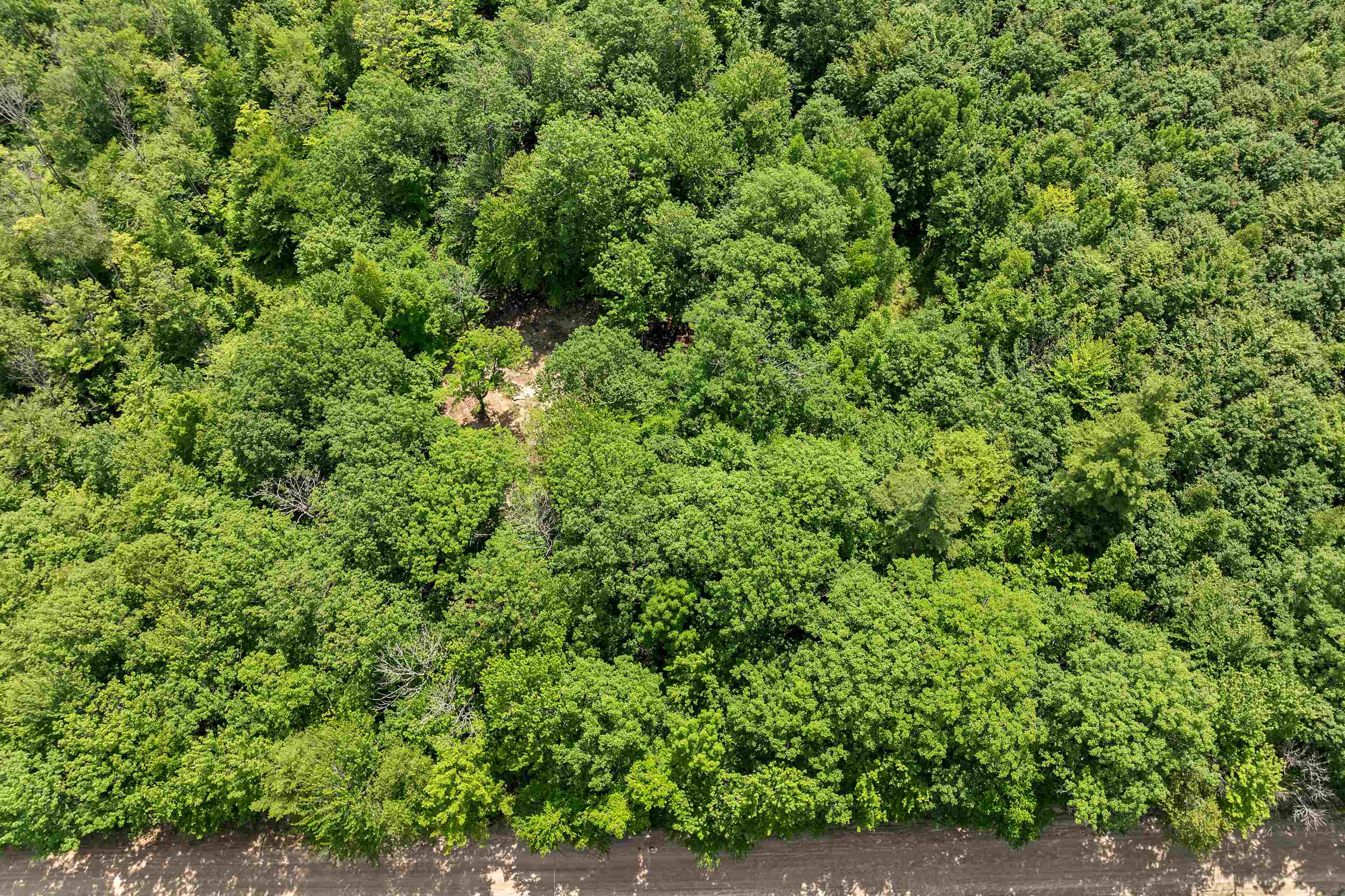 MLS #5049925 image #10