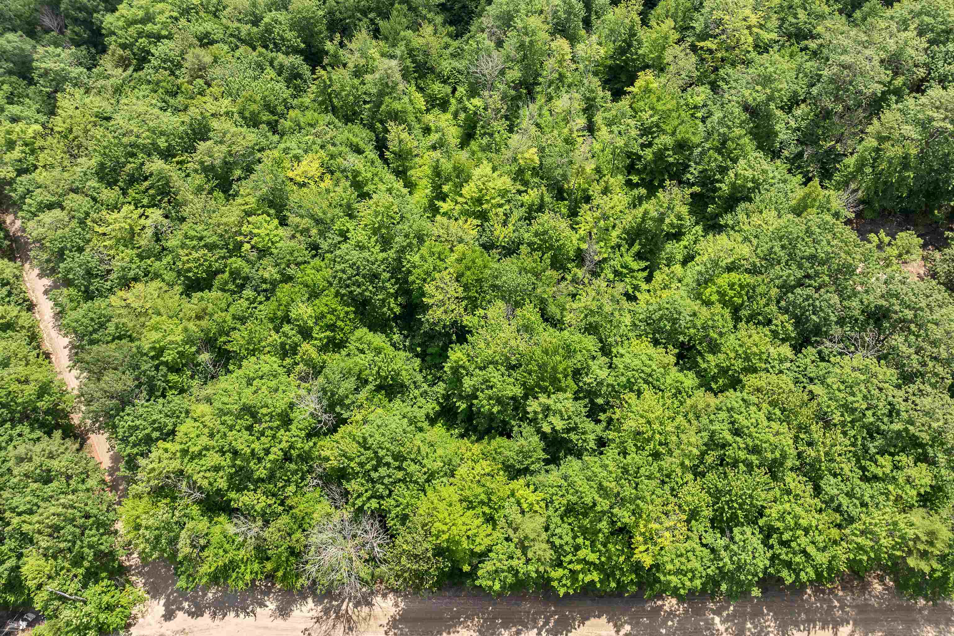 MLS #5049925 image #12