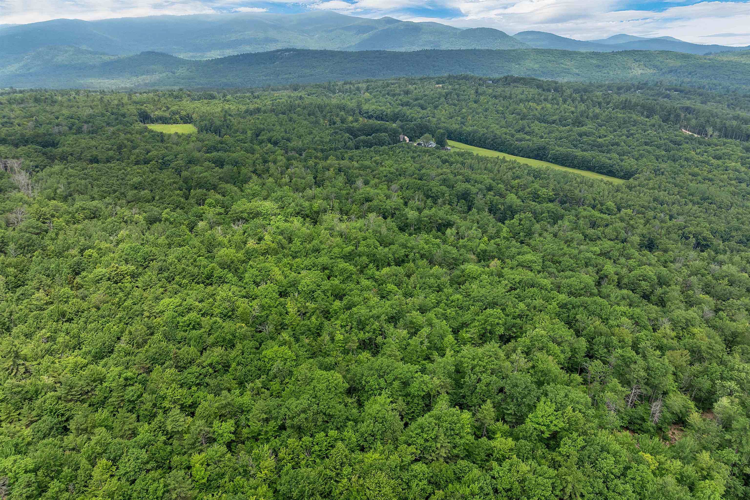 MLS #5049925 image #37