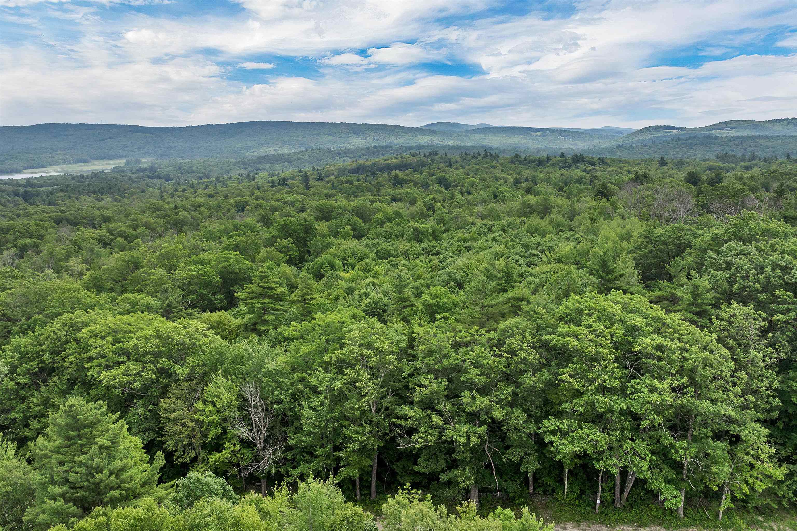 MLS #5049925 image #54