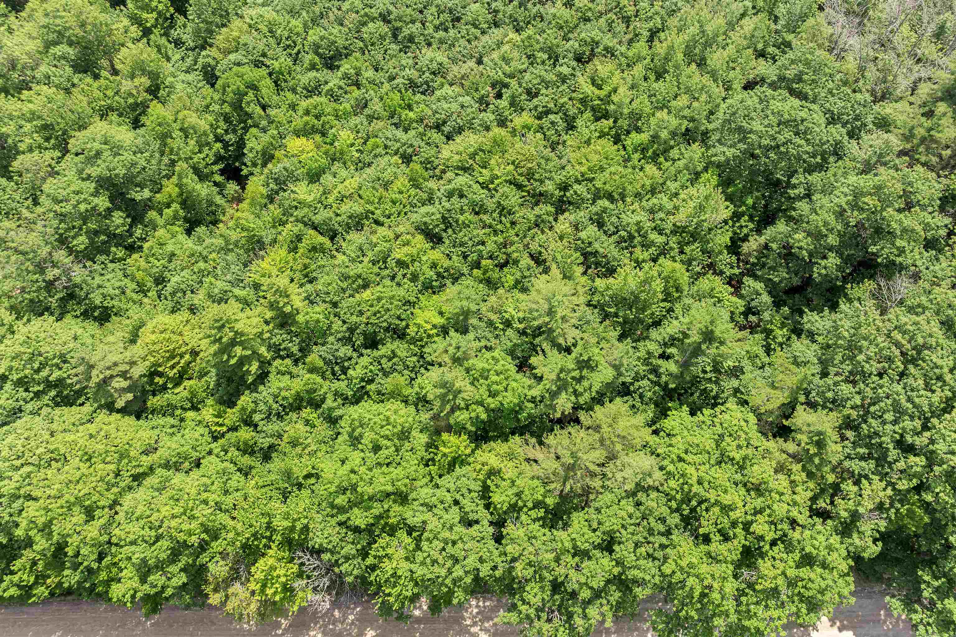 MLS #5049925 image #8