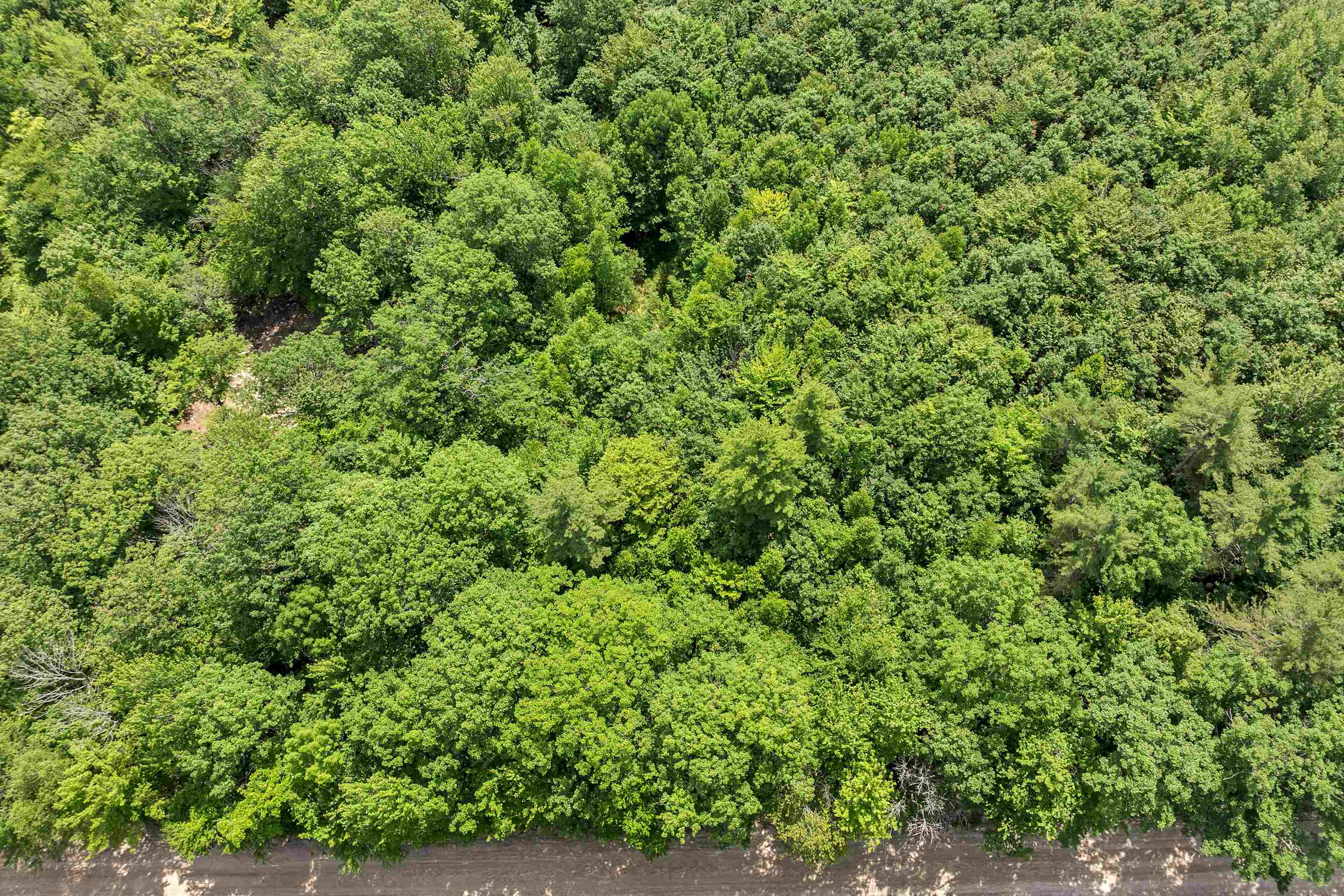 MLS #5049925 image #9