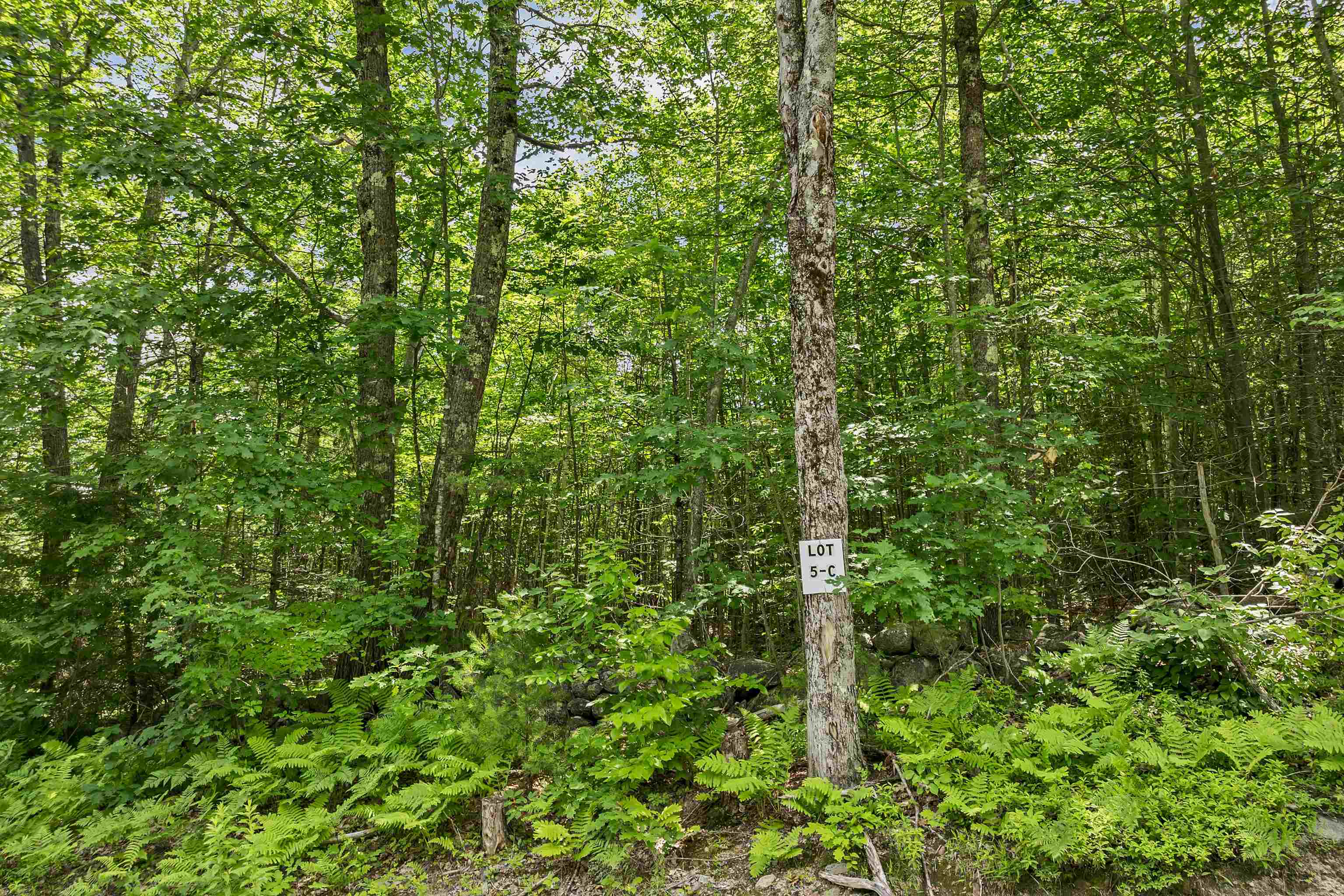 MLS #5049926 image #19