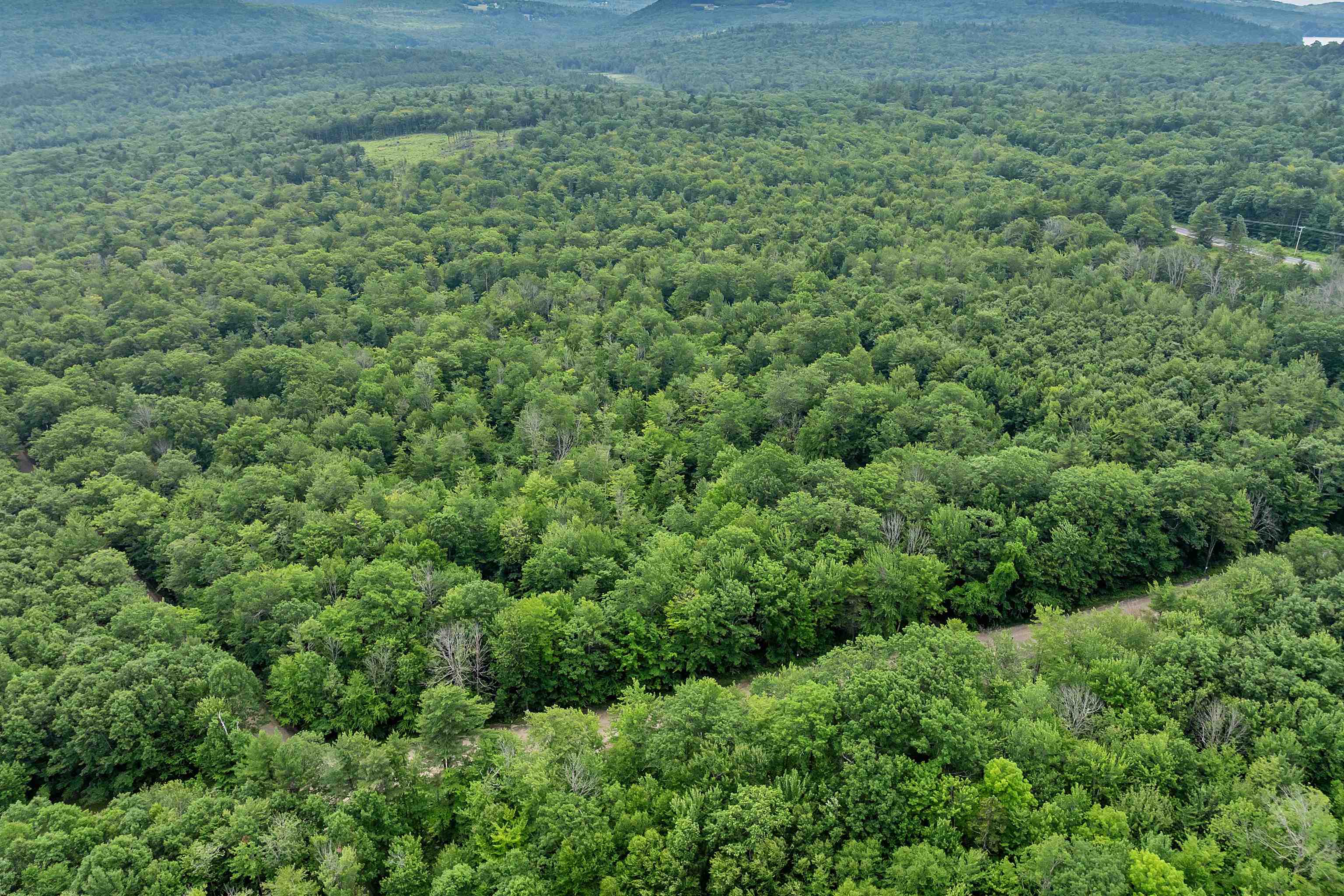 MLS #5049926 image #54