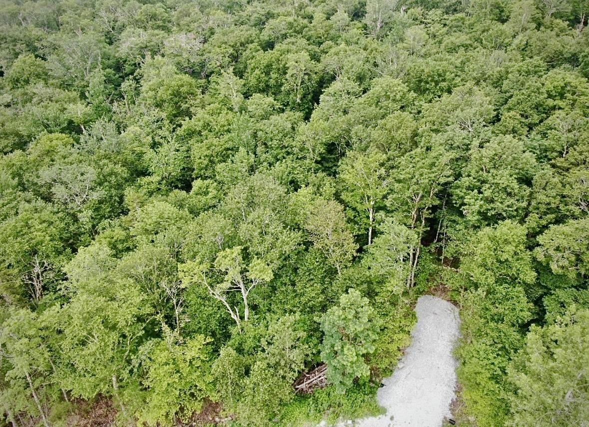Mendon VT Land for sale $94,900 | 3.88 Acres  | Price Per Acre $0  | Total Lots 2