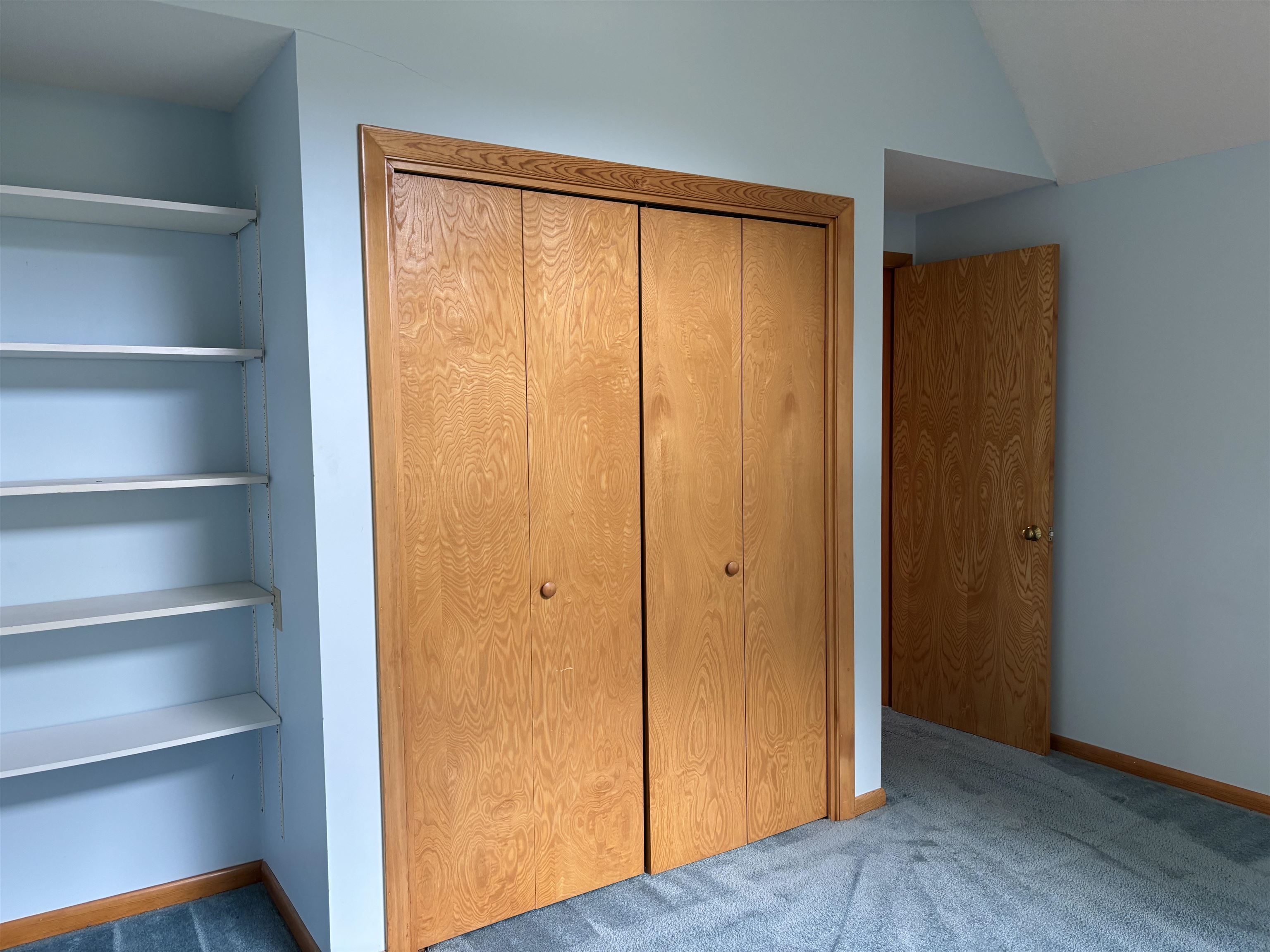 closet and shelving