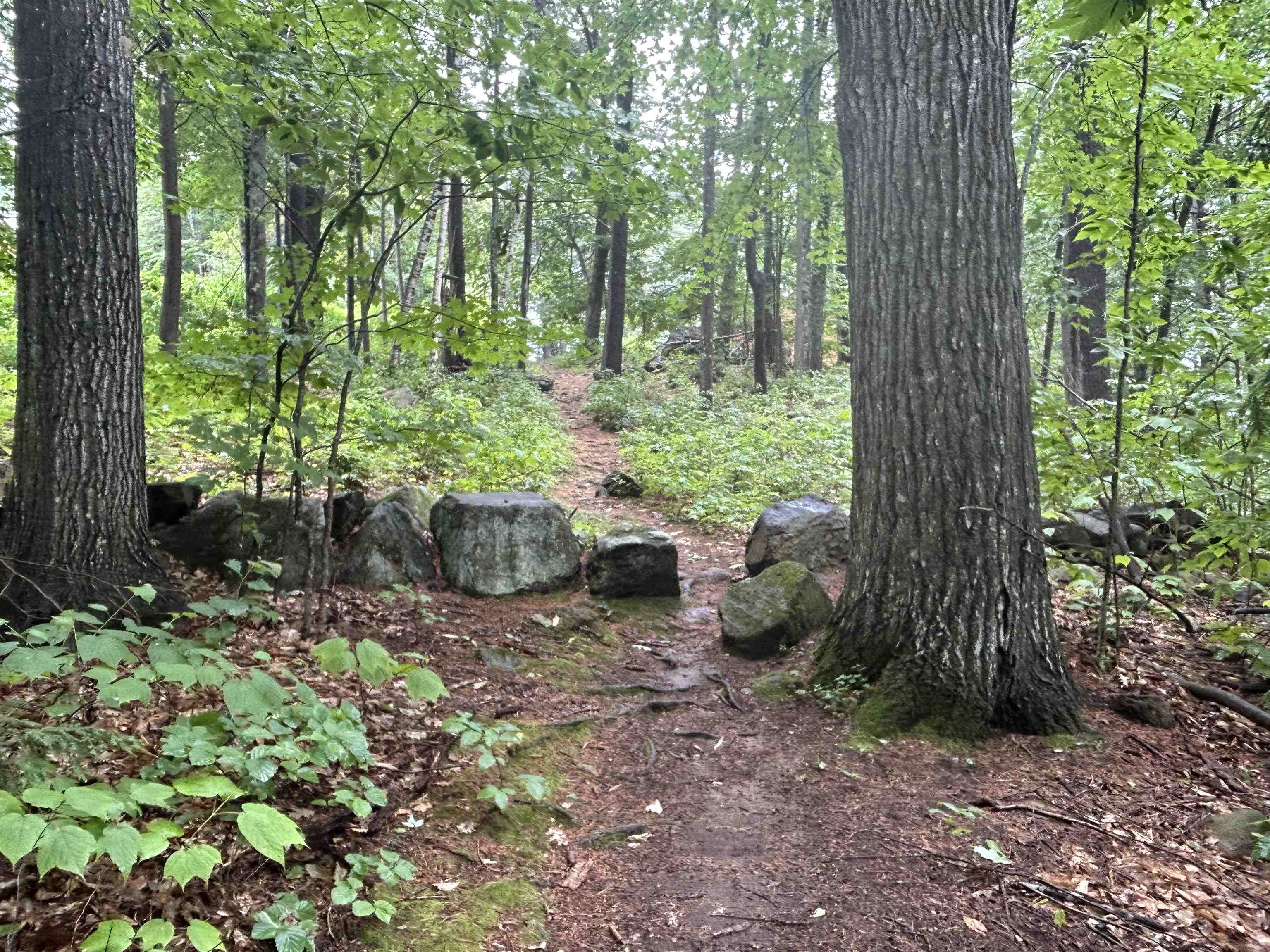 MLS #5050225 image #48