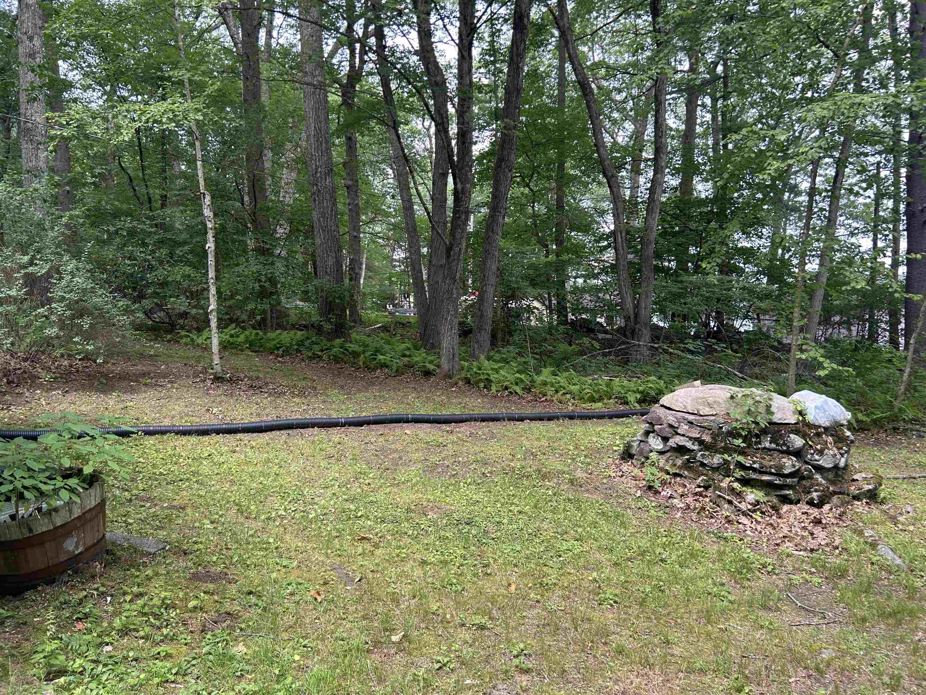 Photo 16 of 17