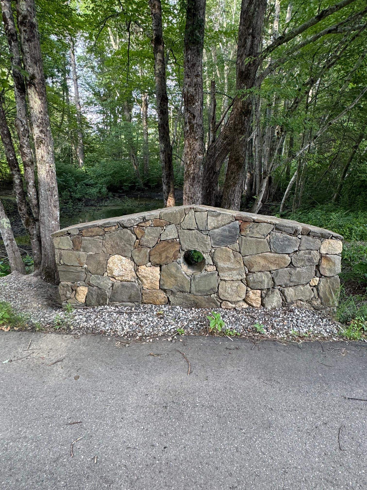 Photo 13 of 60