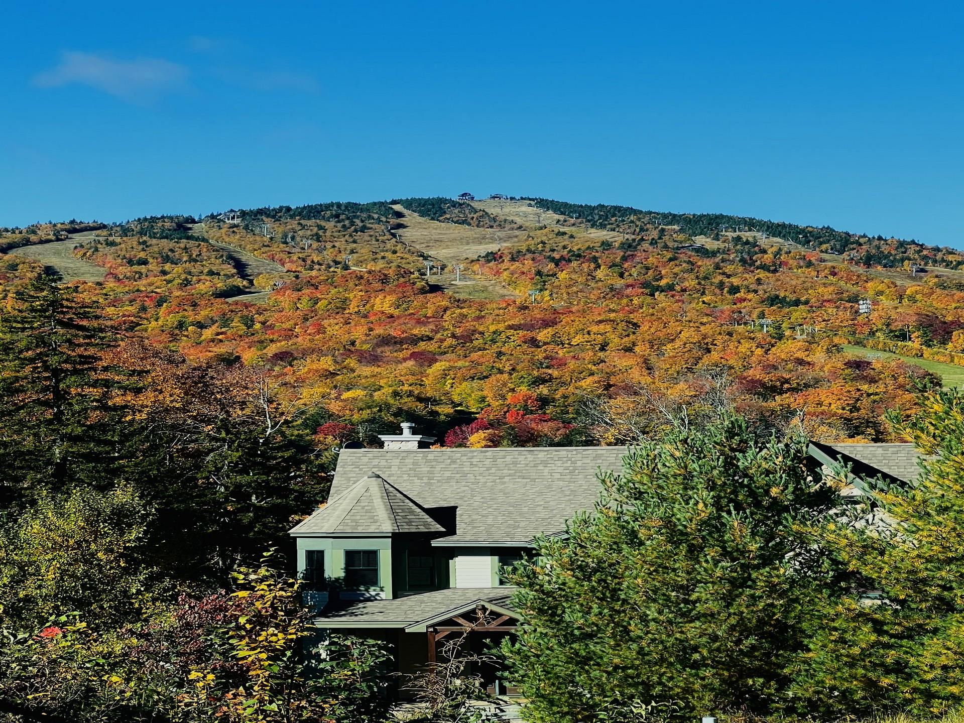 MLS #5050725 image #17