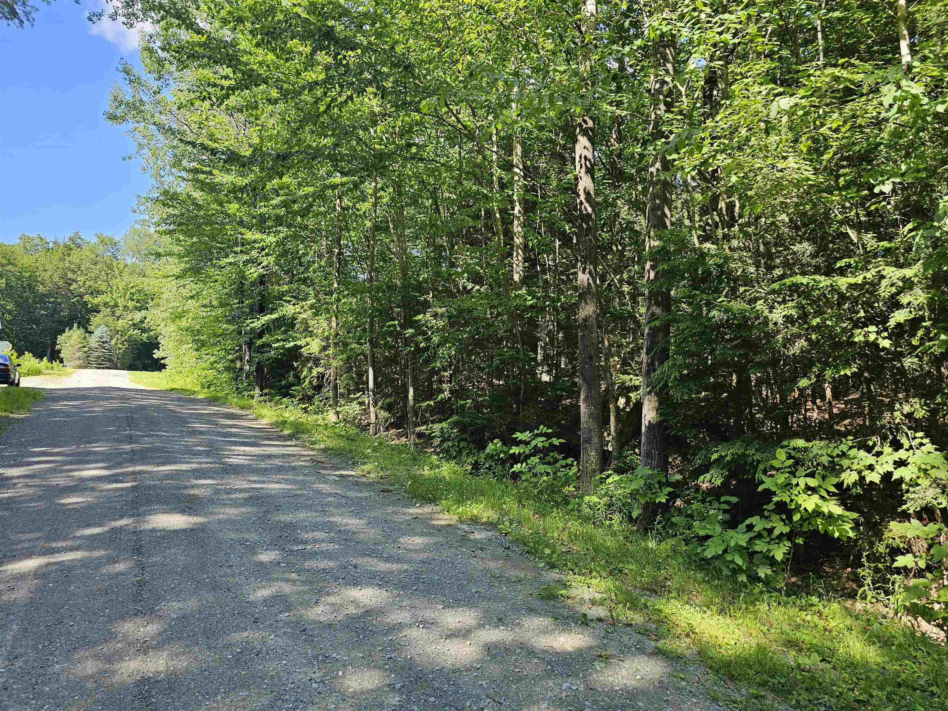 Wilmington VT Land for sale $49,000 | 0.5 Acres  | Price Per Acre $0  | Total Lots 2
