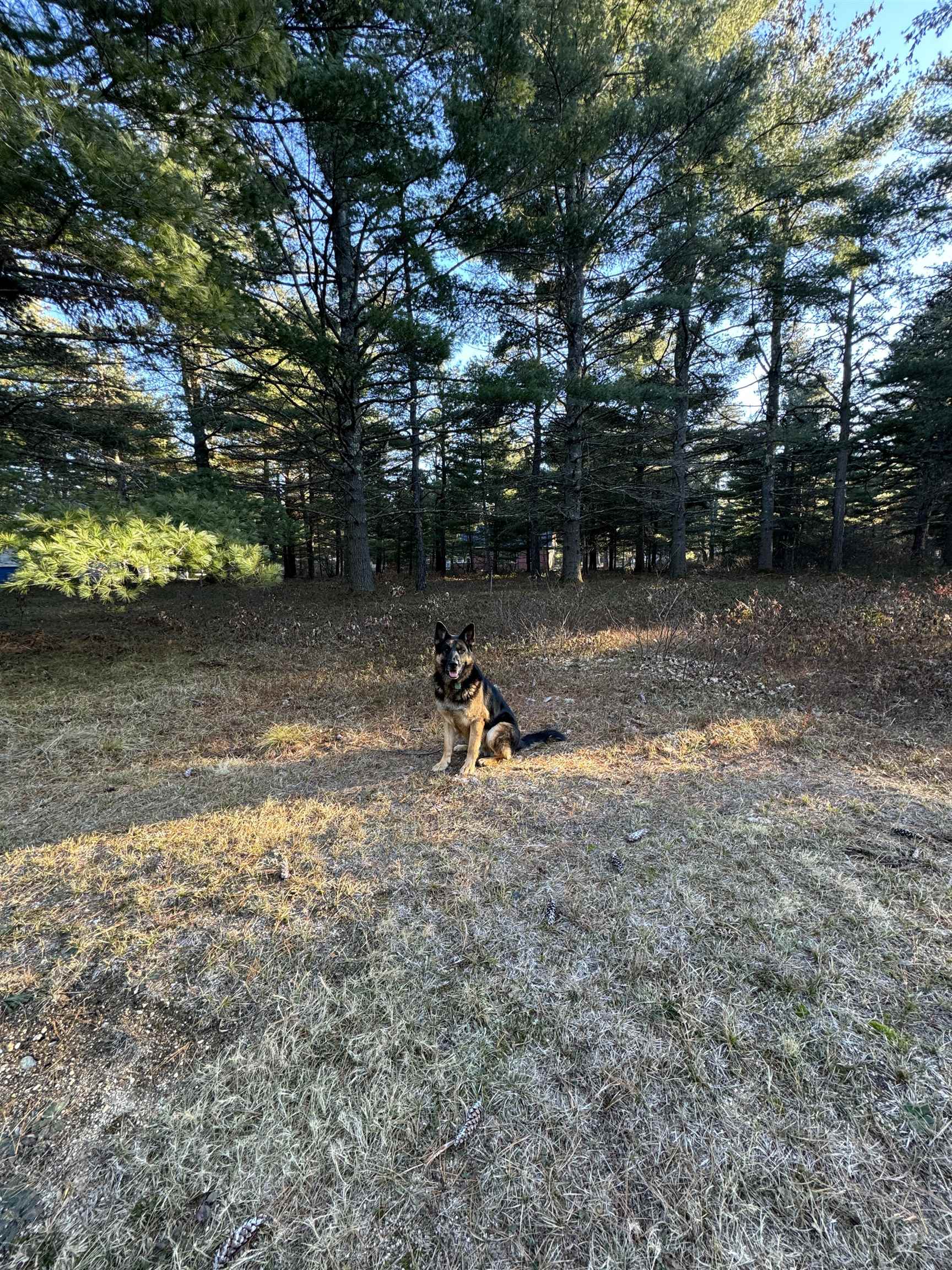 MLS #5051276 image #11