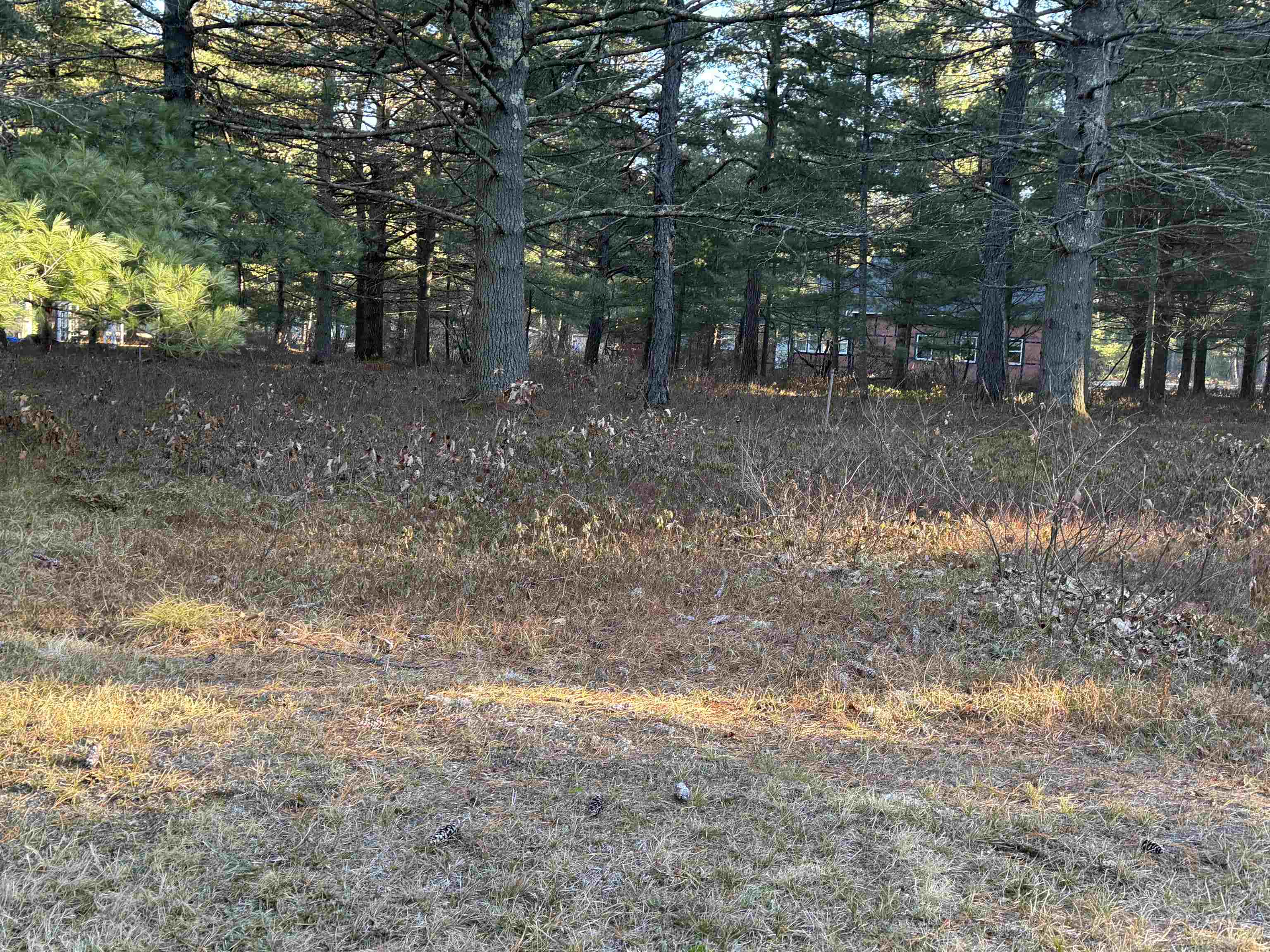 MLS #5051276 image #13