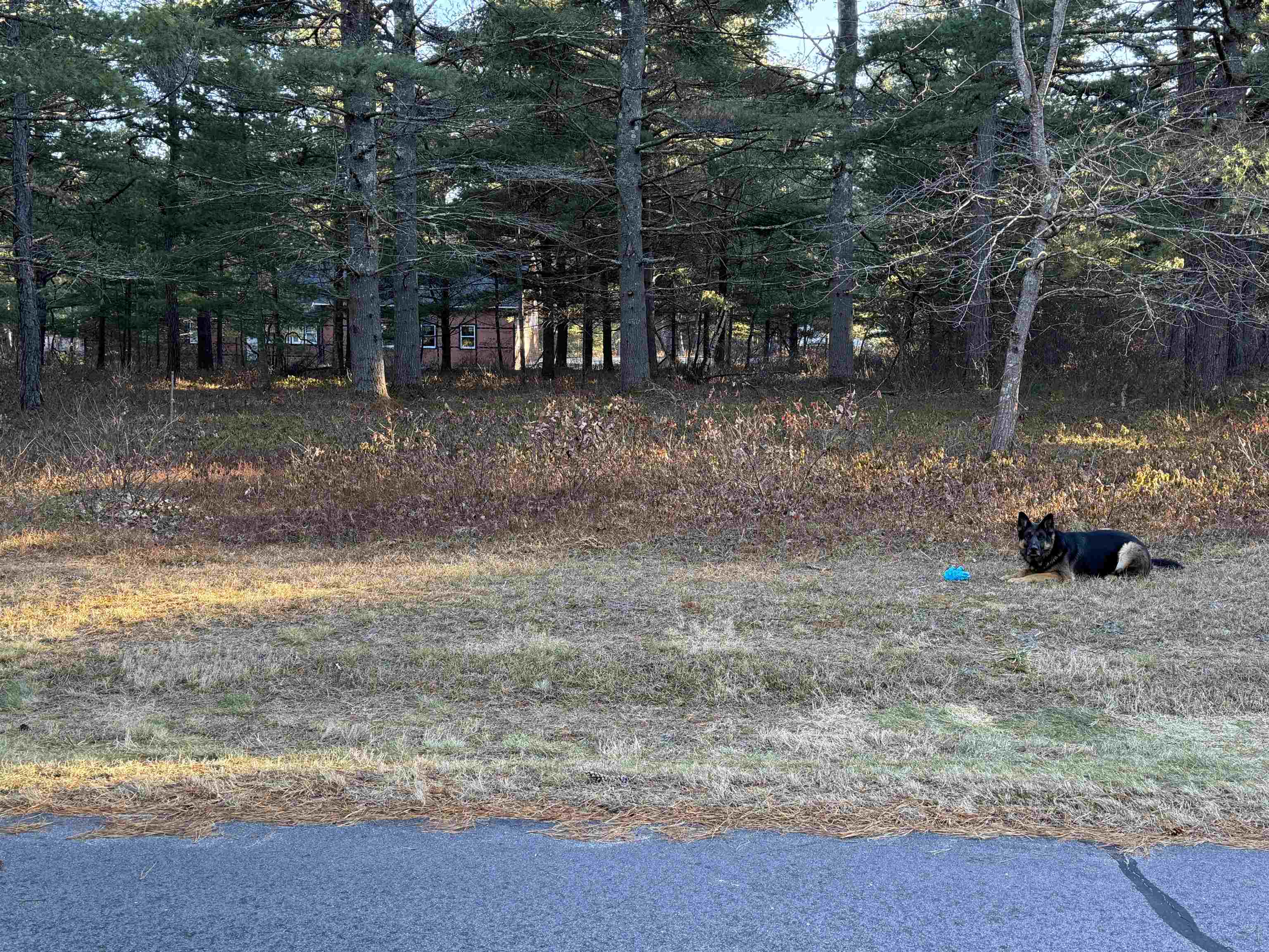 MLS #5051276 image #14