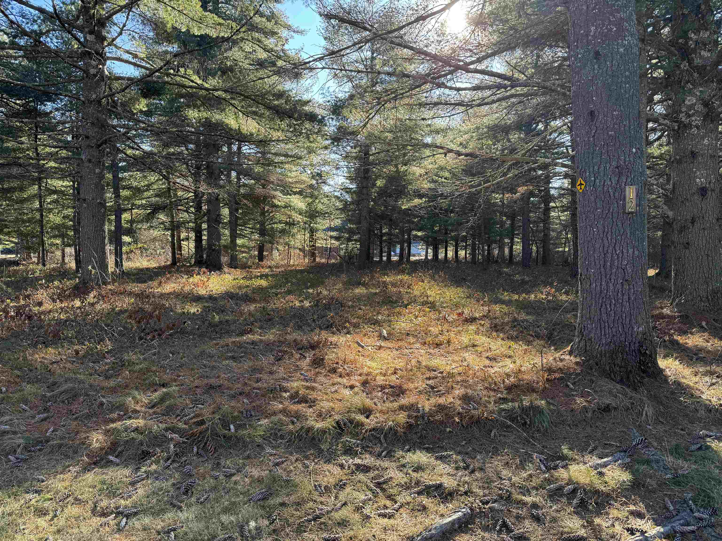 MLS #5051276 image #17