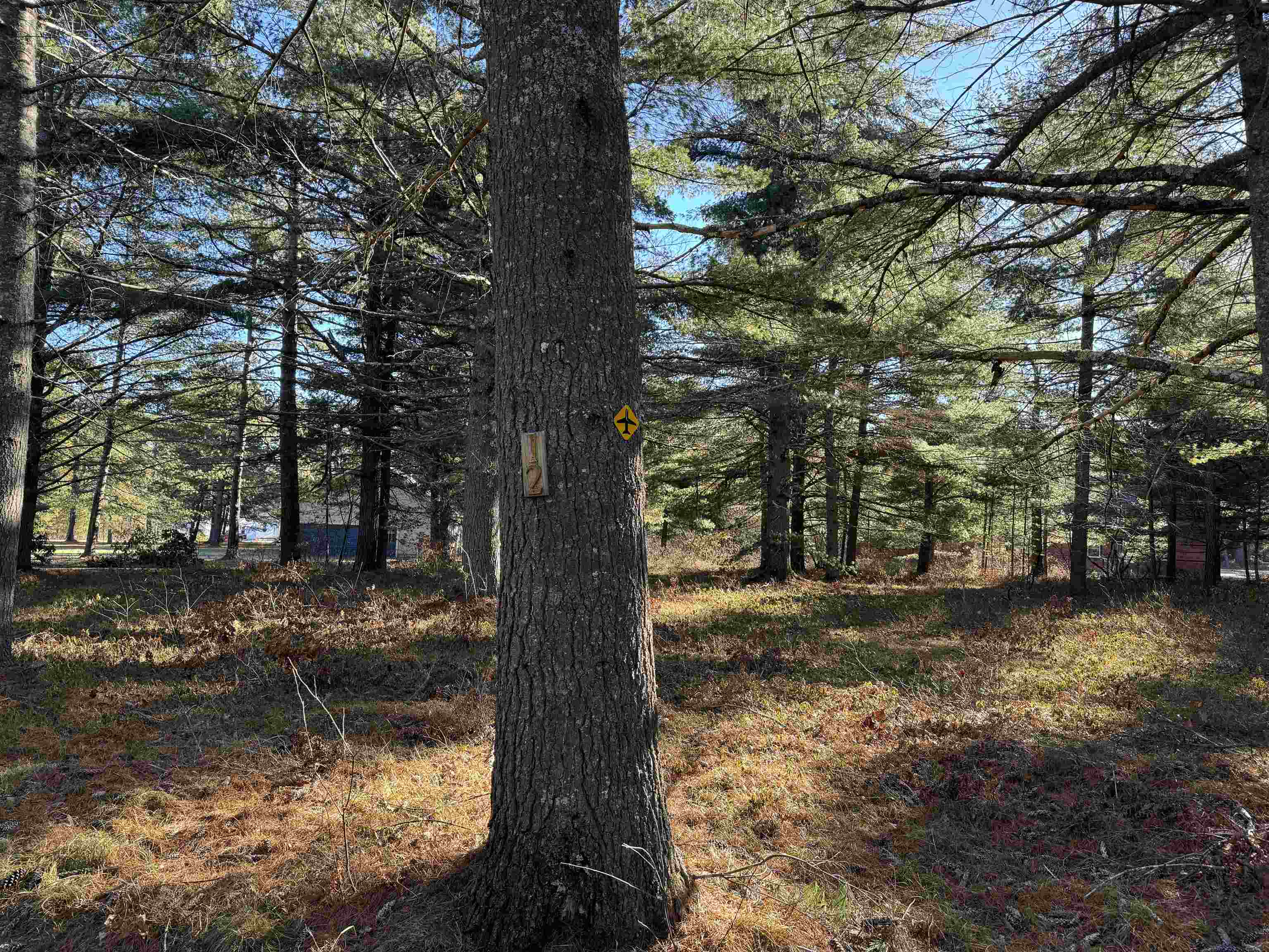 MLS #5051276 image #18