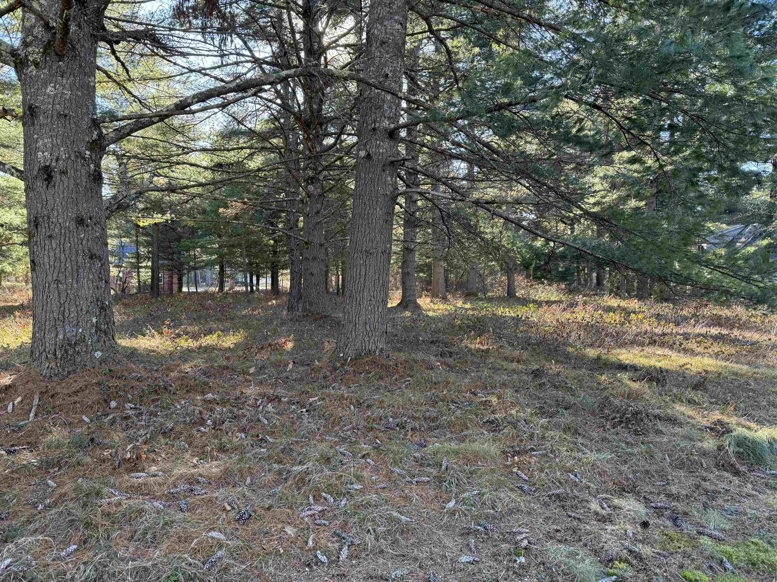 MLS #5051276 image #19