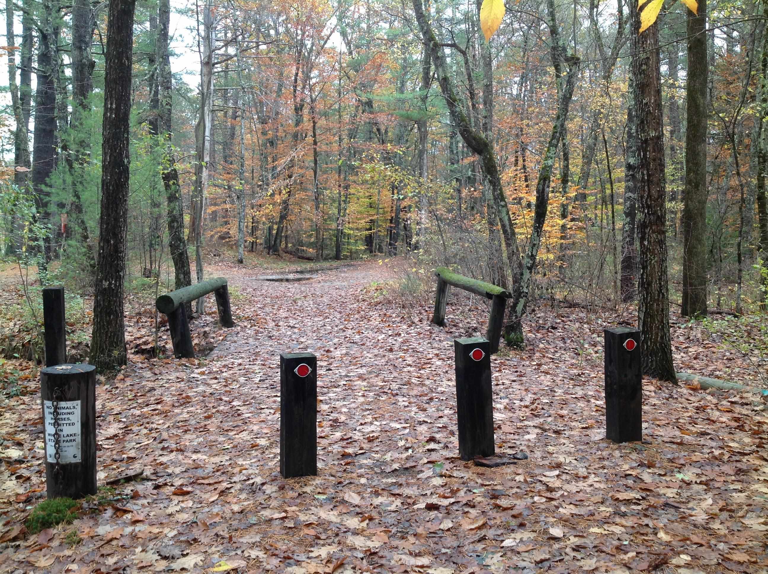 MLS #5051276 image #29