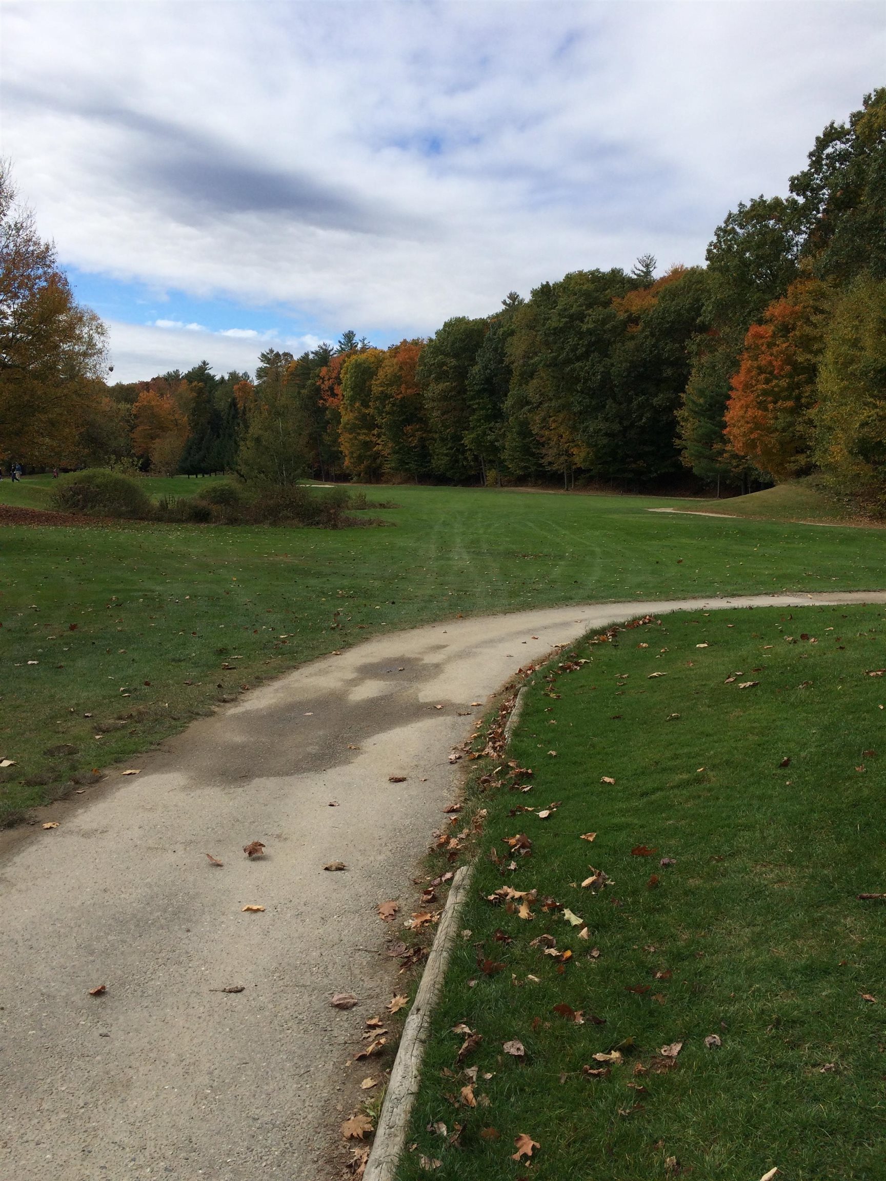 MLS #5051276 image #31