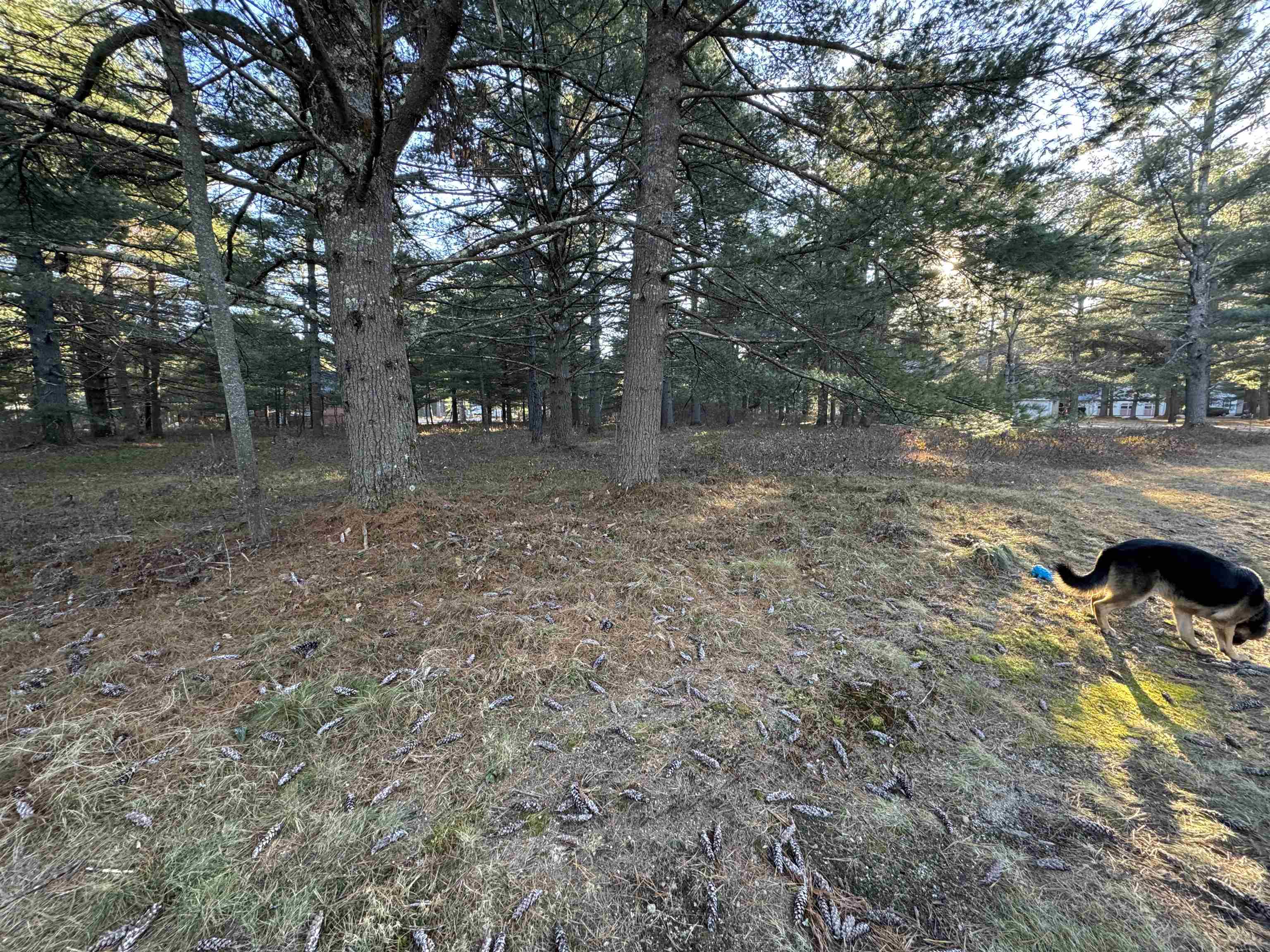 MLS #5051276 image #9