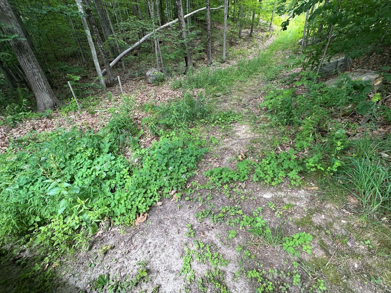 Rutland City VT Land for sale $150,000 | 19.17 Acres  | Price Per Acre $0 