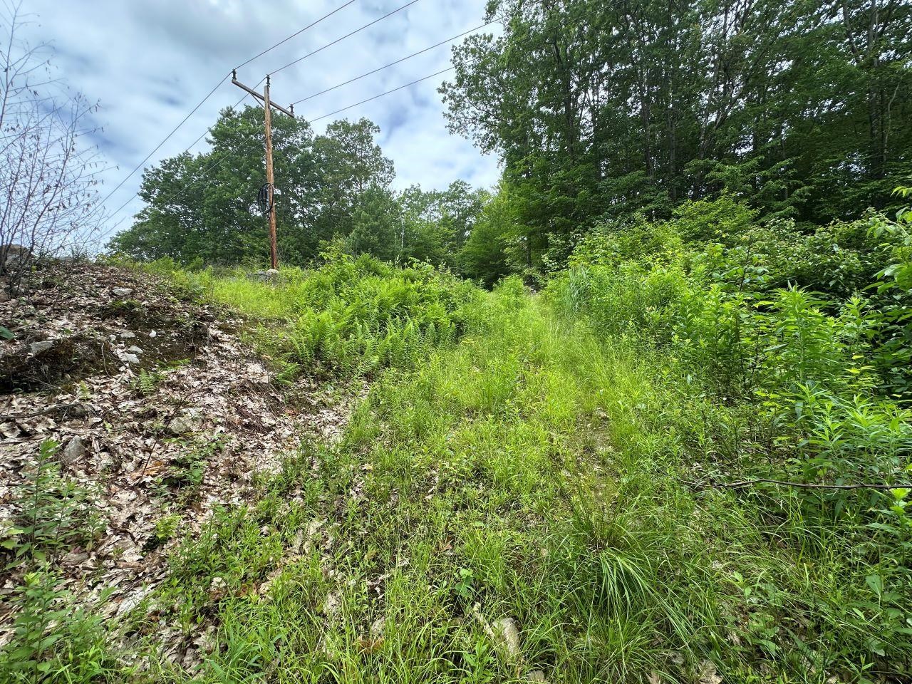 Access Rd at GMP Easement