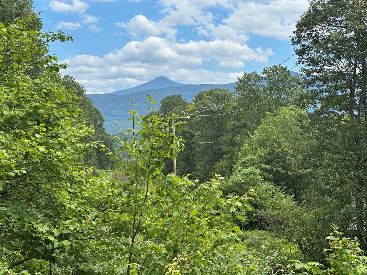 Pico Peak at GMP easement