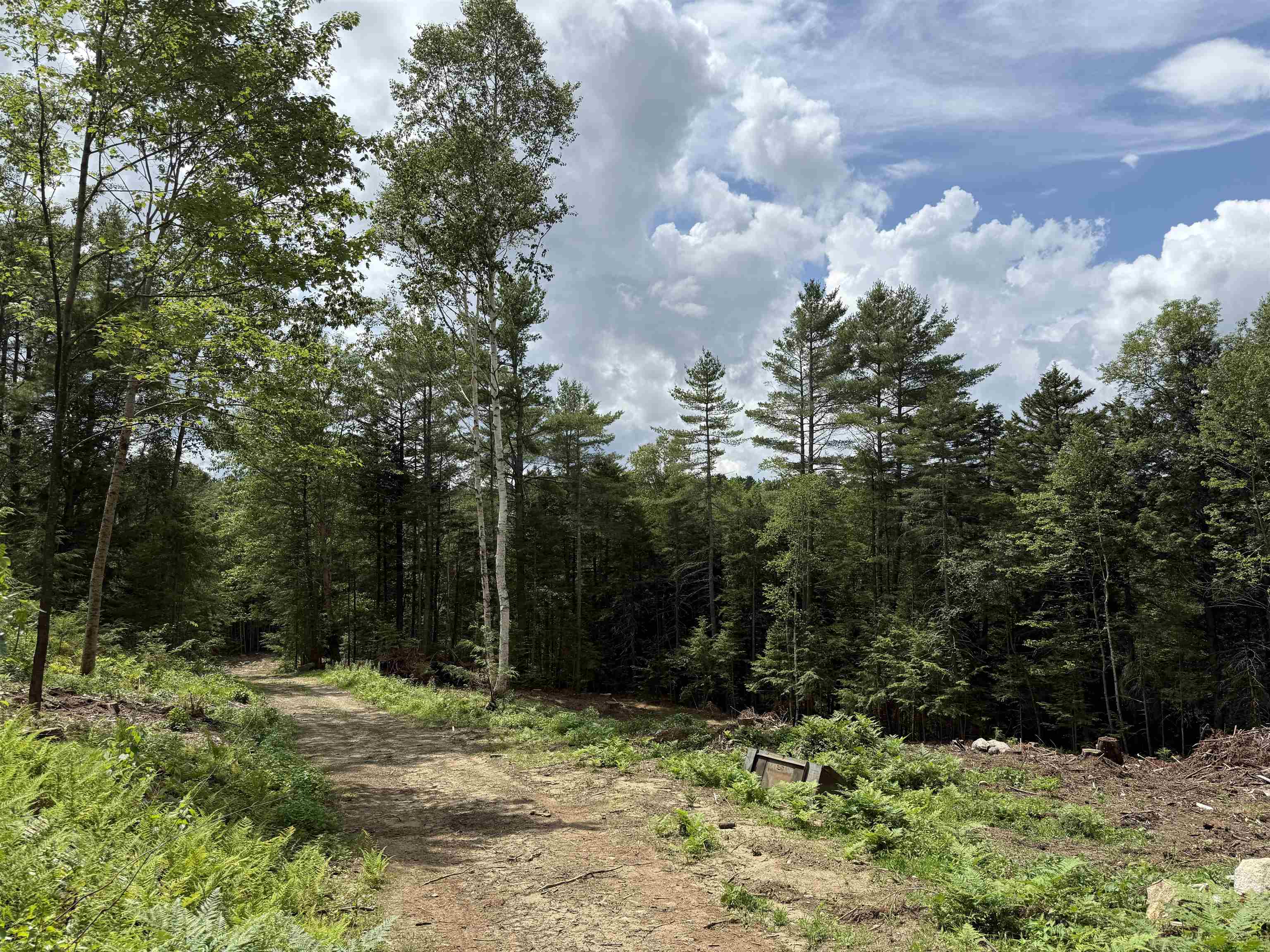 MLS #5051454 image #1