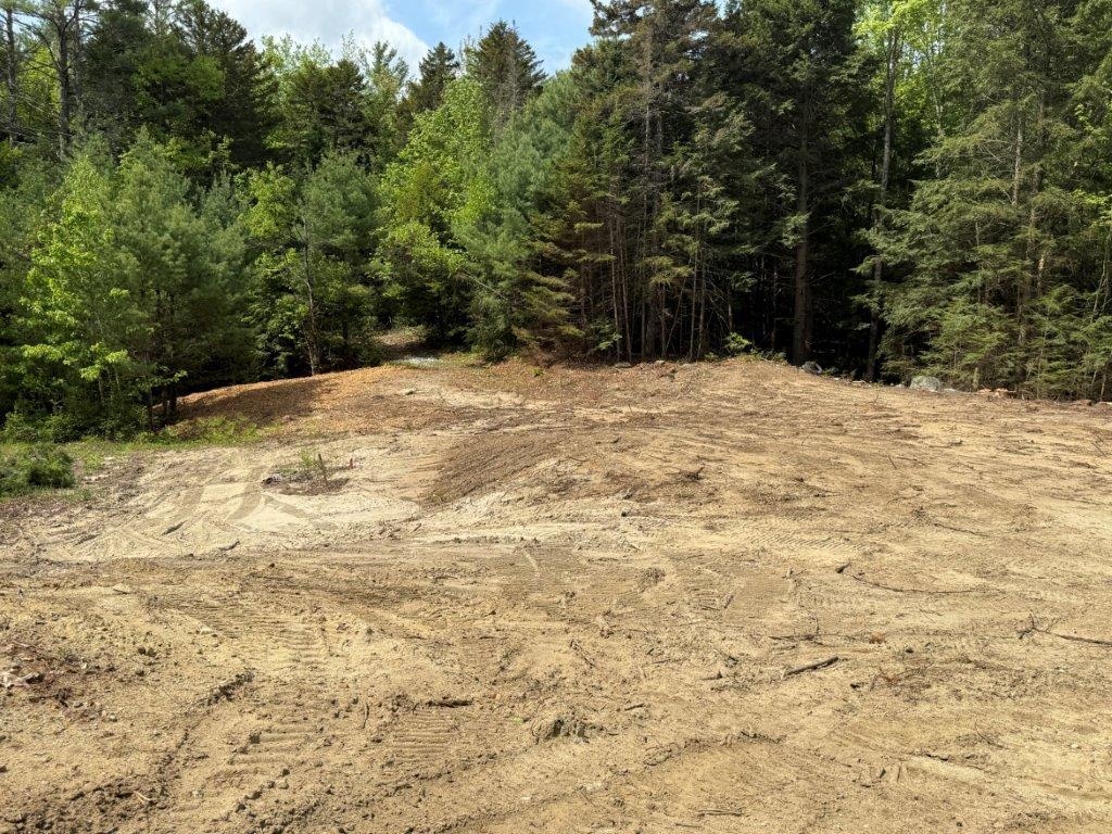 MLS #5051454 image #11