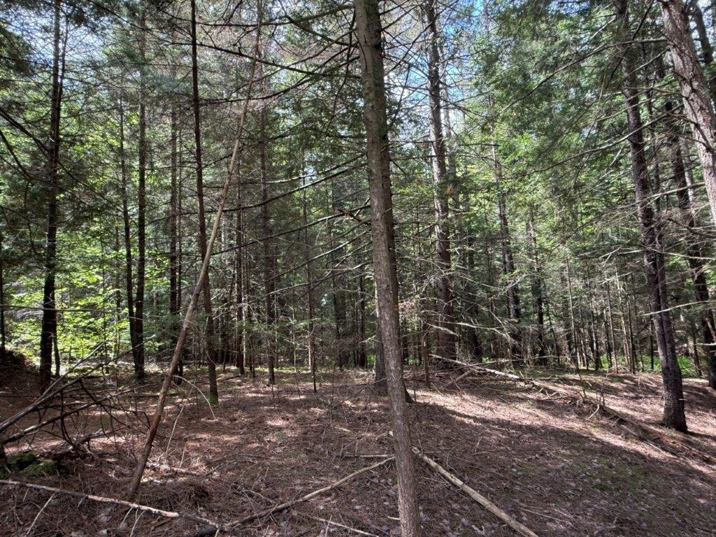 MLS #5051454 image #13