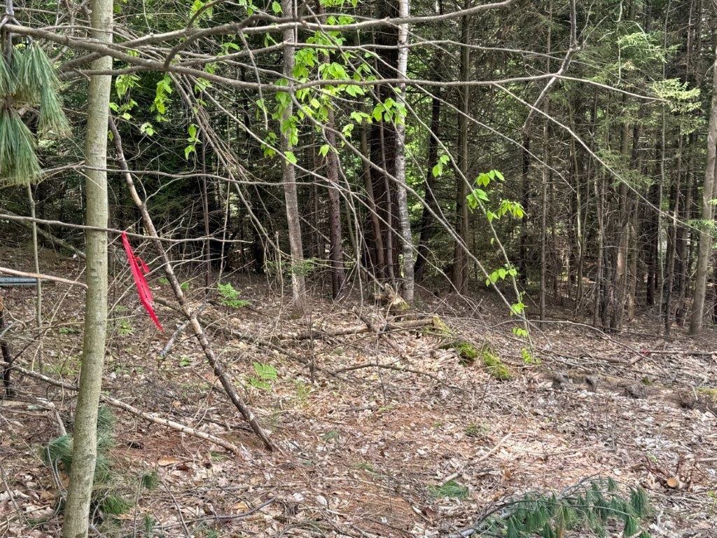 MLS #5051454 image #7