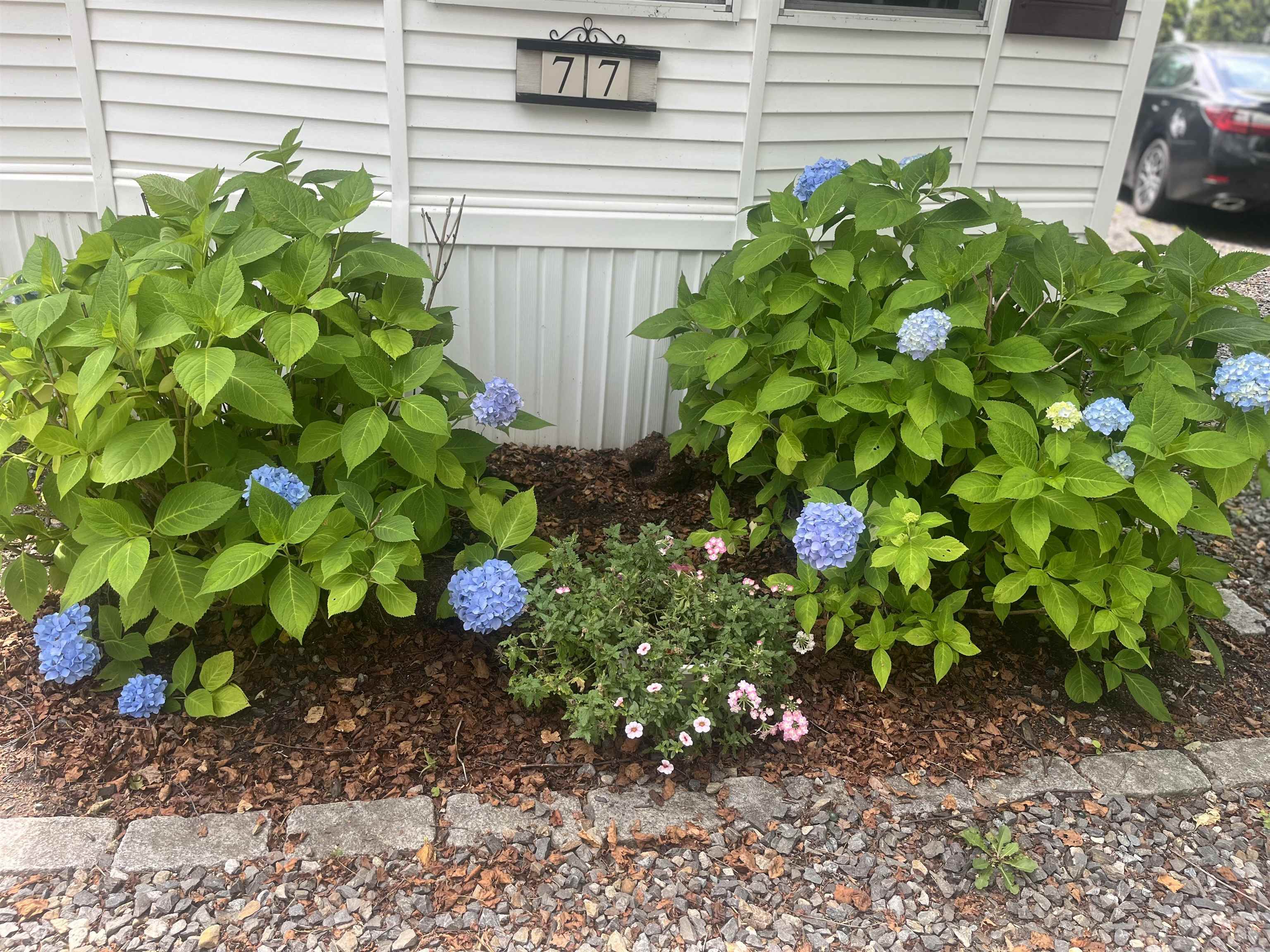 Photo 23 of 29
