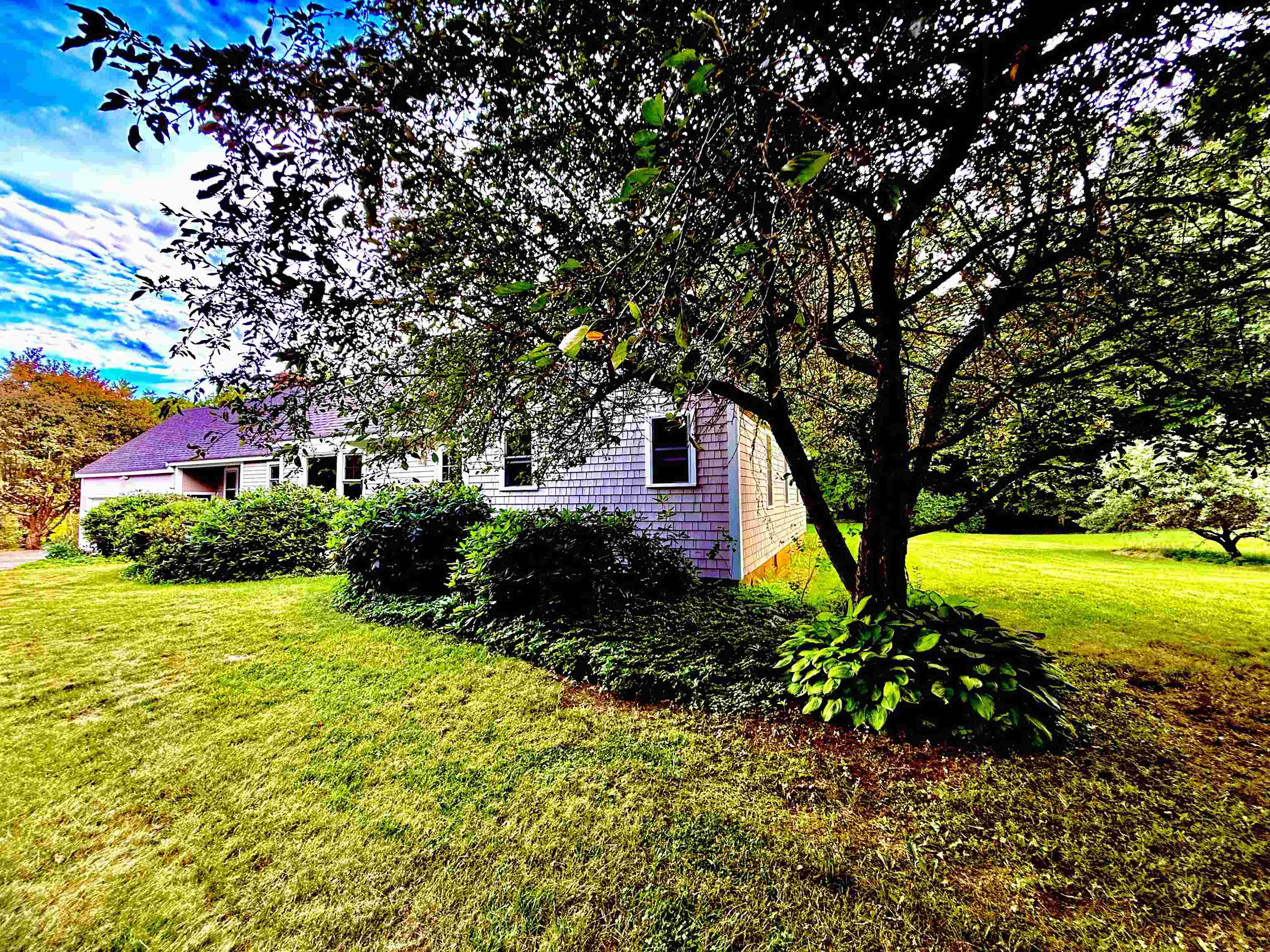 Private Side Yard Framed by Mature Trees and Landscaping