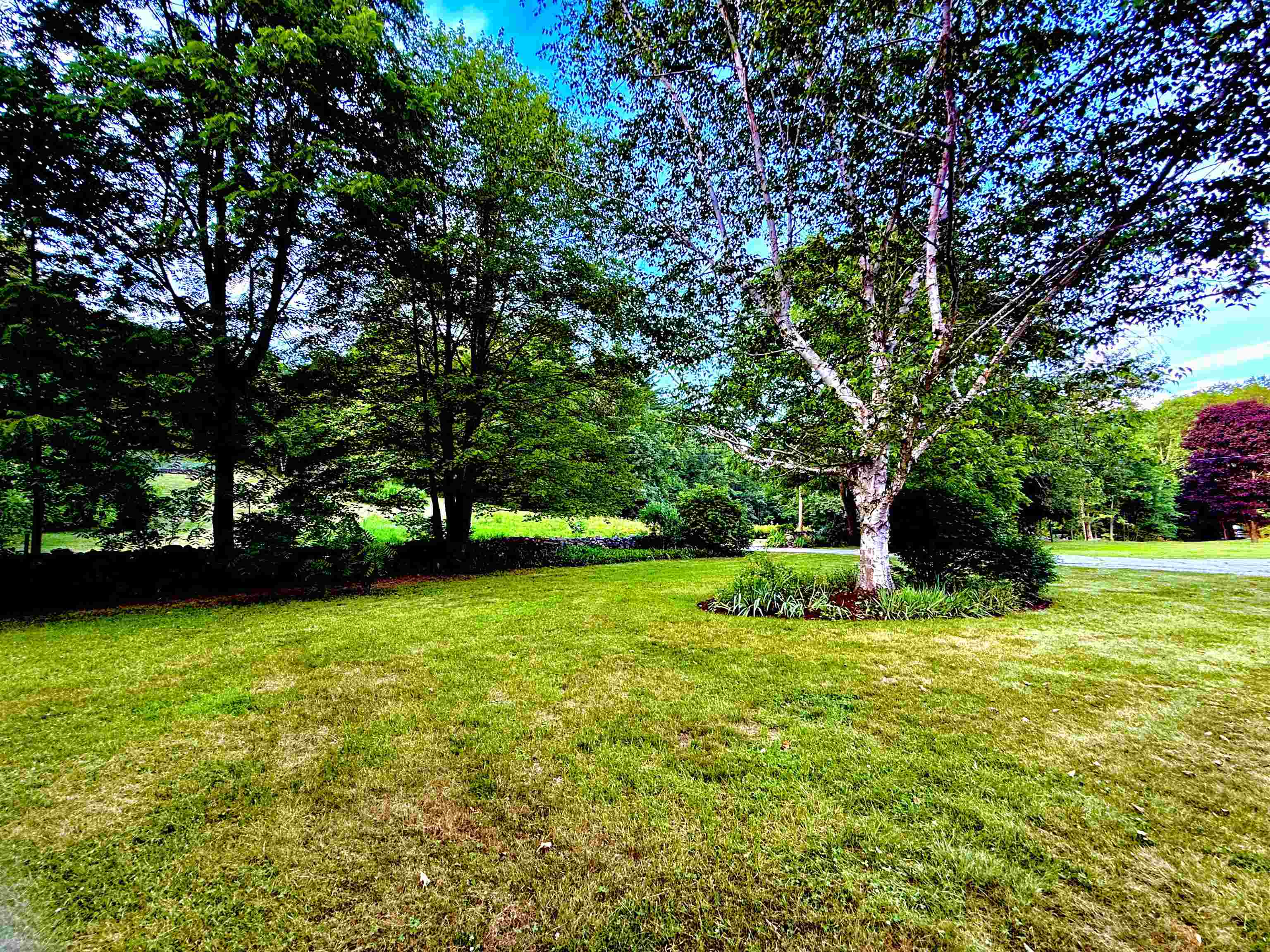 Peaceful Front Yard with Mature Trees and Stone Wall Border