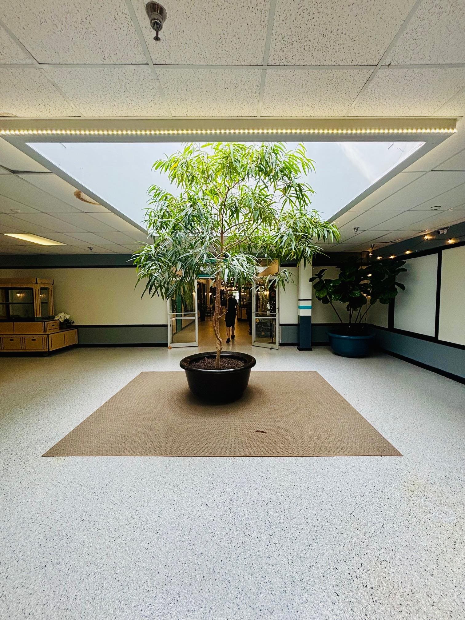 MLS #5051694 image #6