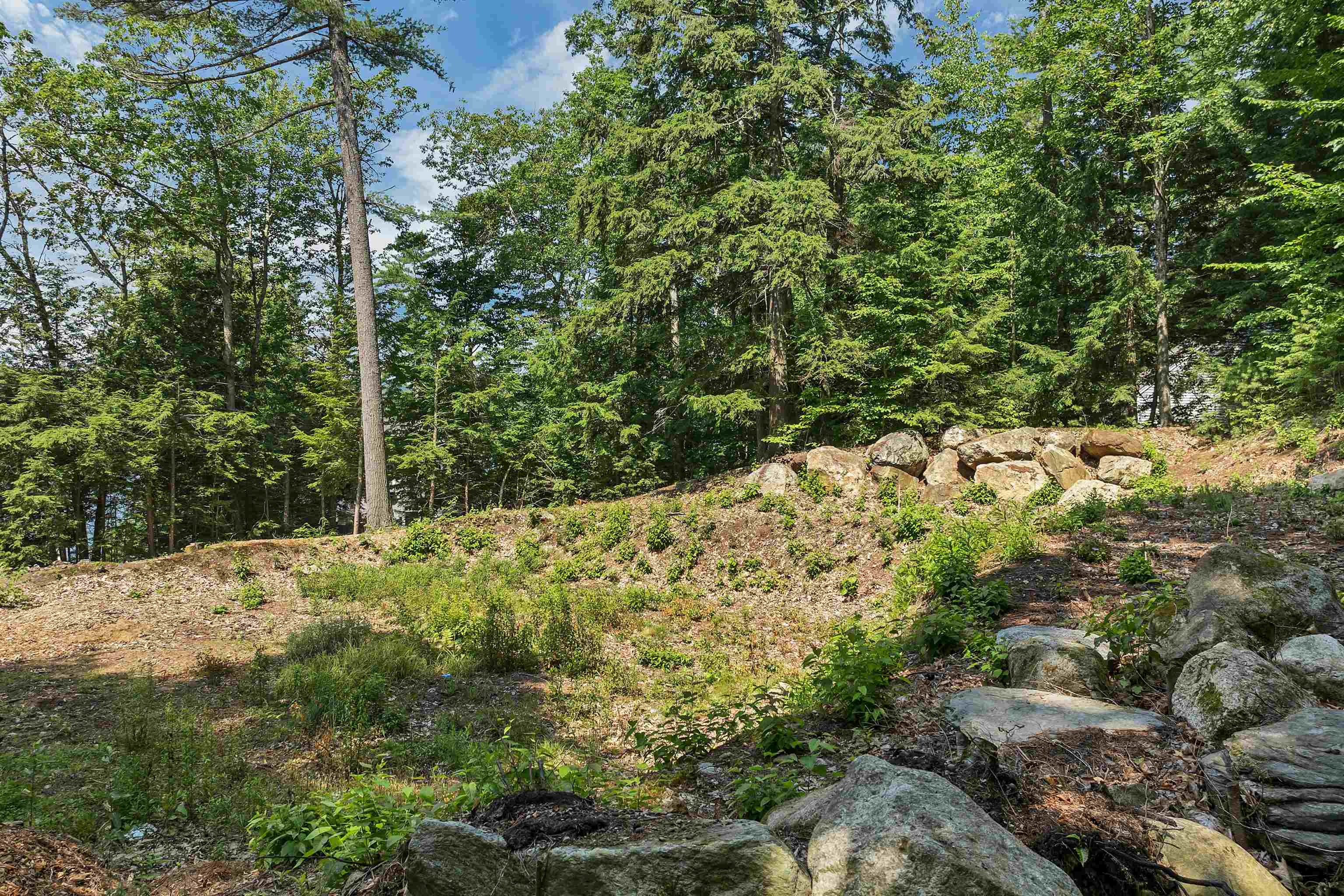 MLS #5051961 image #4