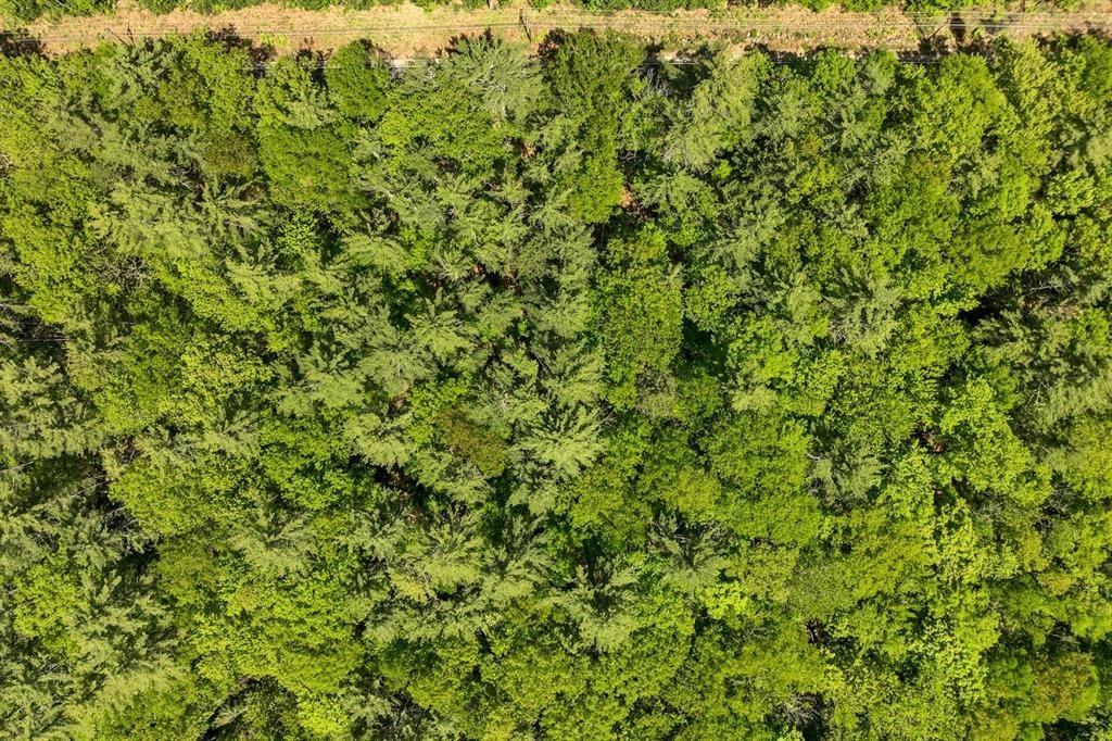 MLS #5052127 image #14