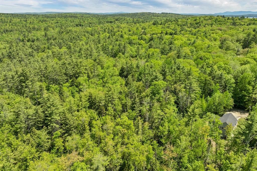 MLS #5052127 image #39