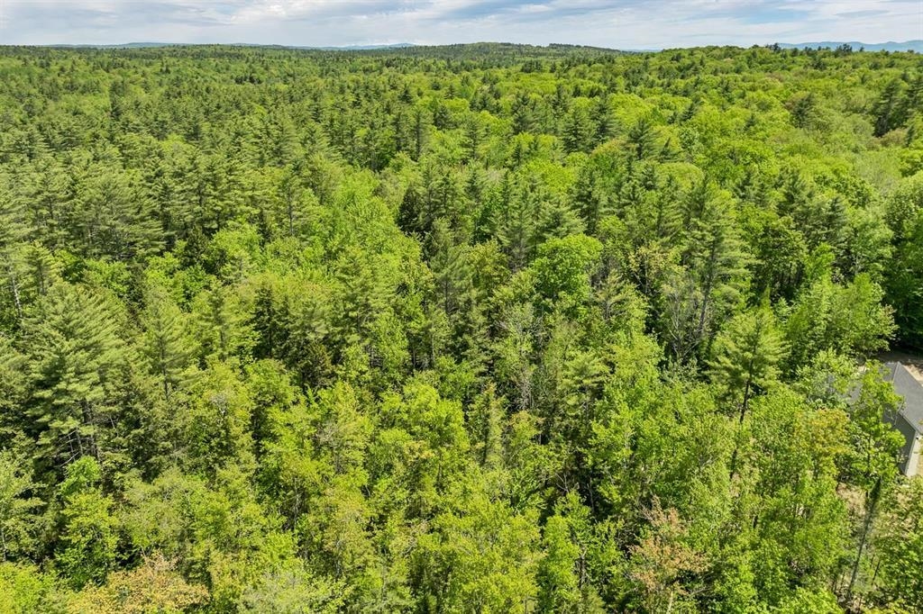 MLS #5052131 image #13