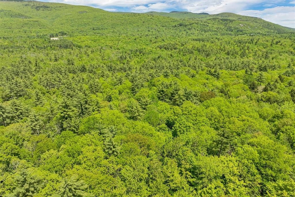 MLS #5052131 image #15