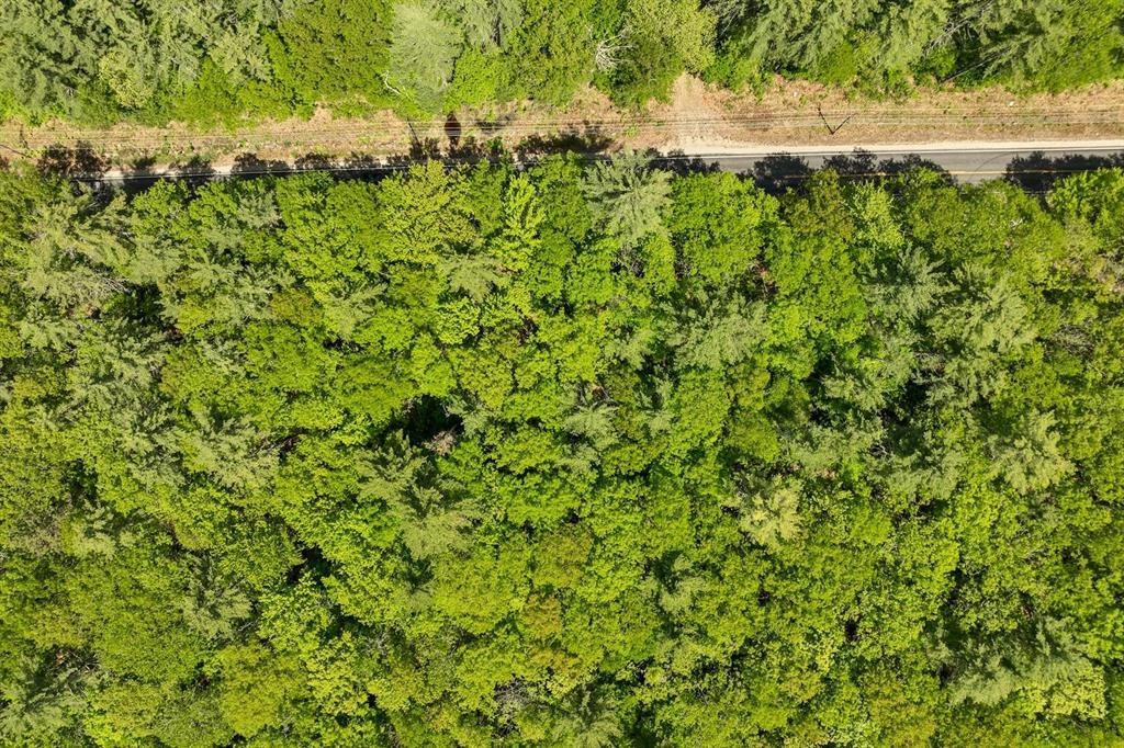 MLS #5052131 image #17