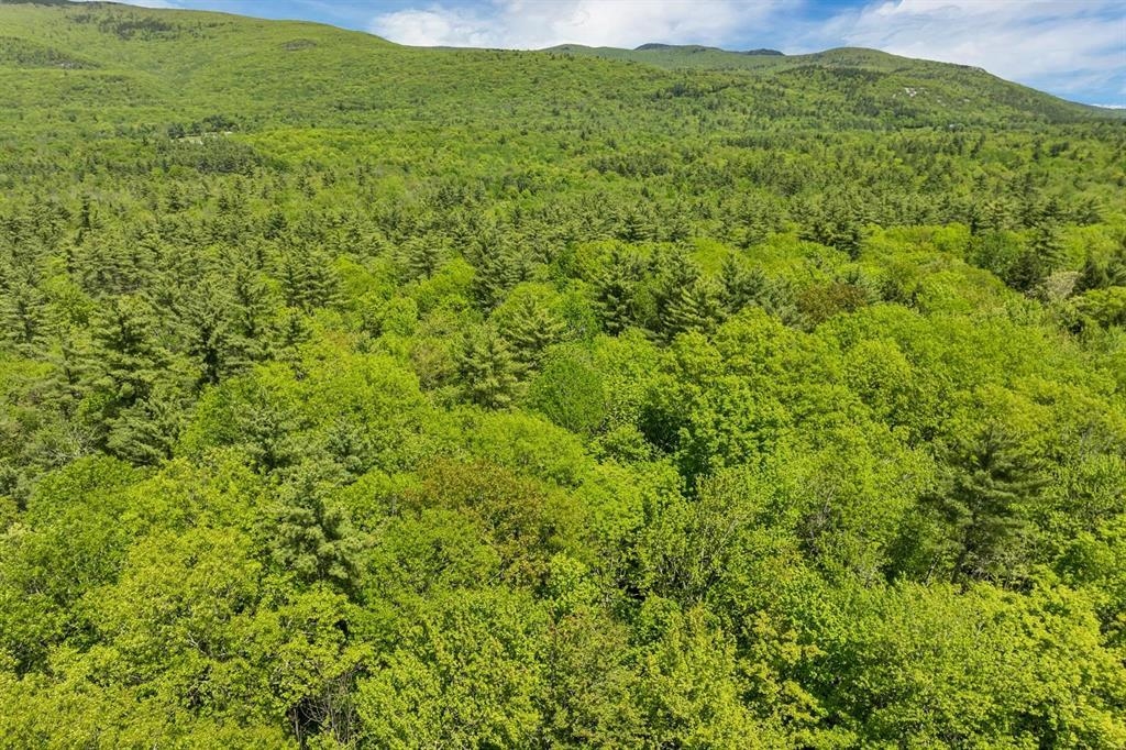 MLS #5052131 image #18