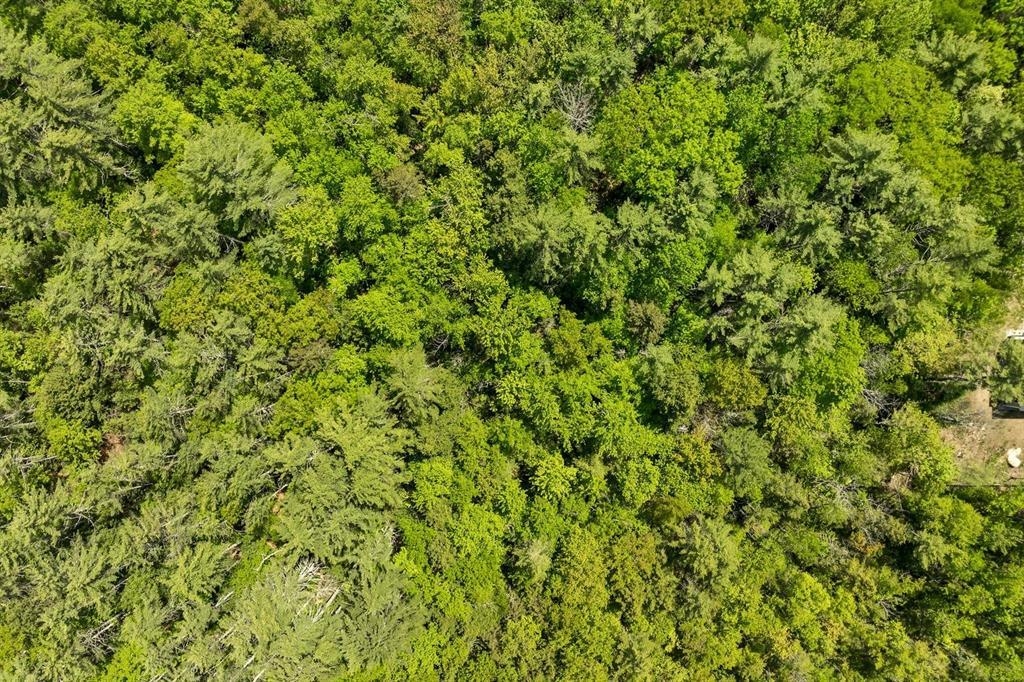 MLS #5052131 image #9