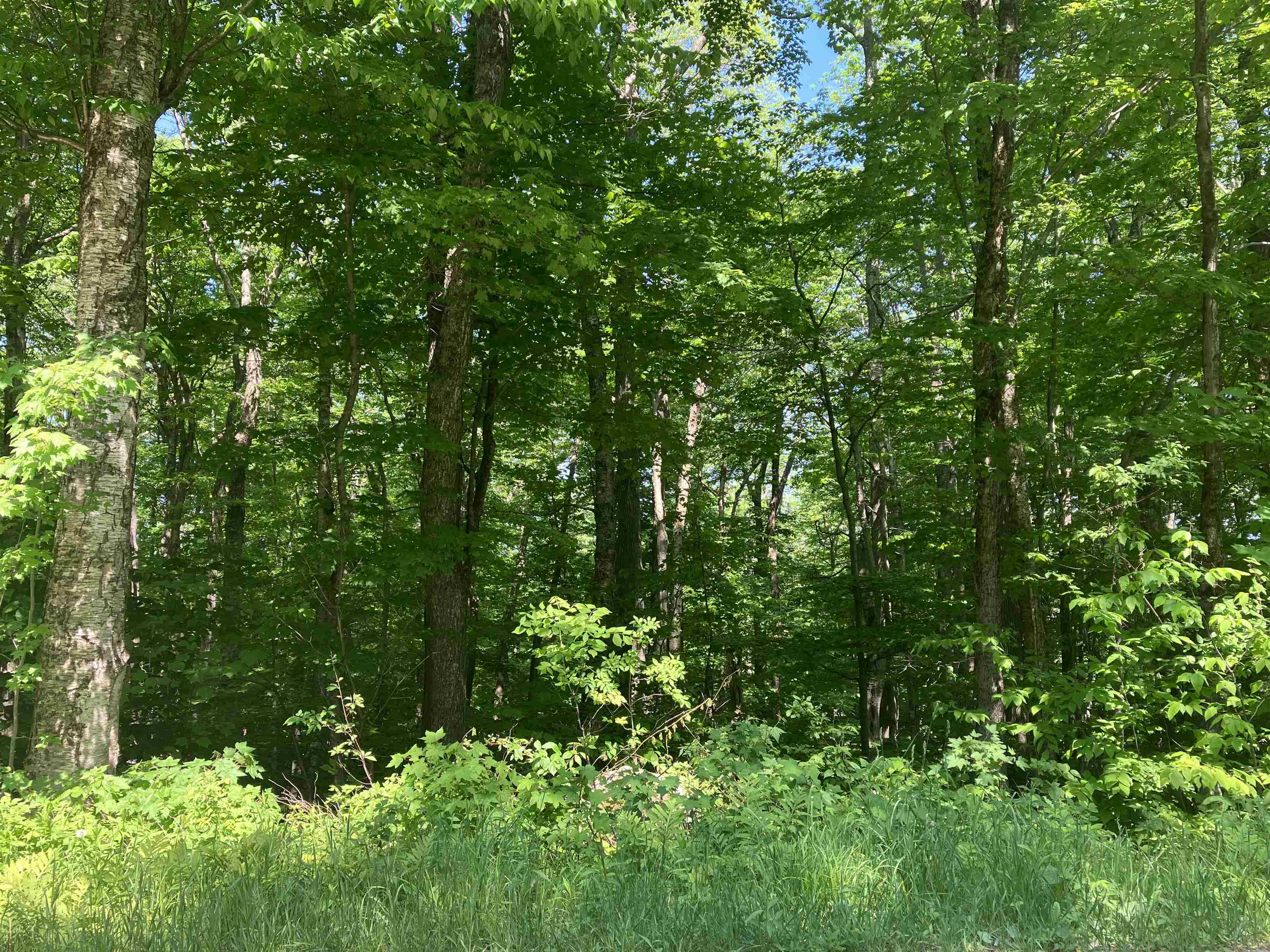 Wilmington VT Land for sale $25,000 | 0.5 Acres  | Price Per Acre $0 