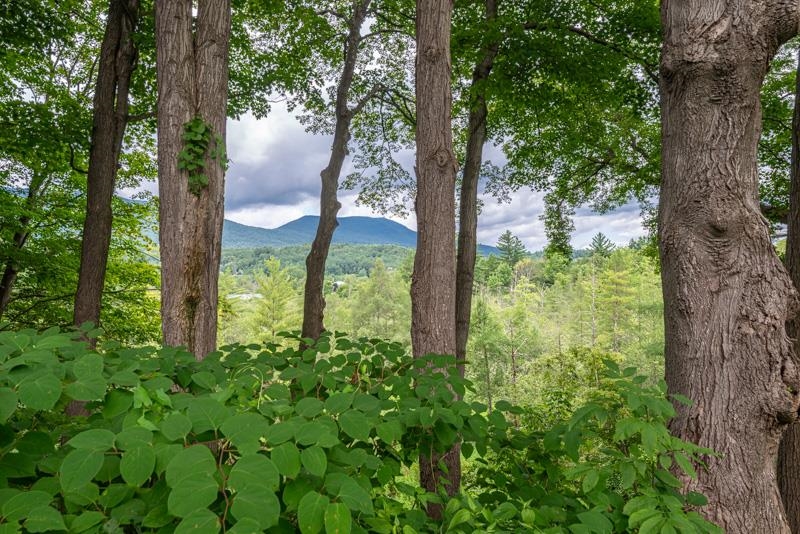 Backyard Views!