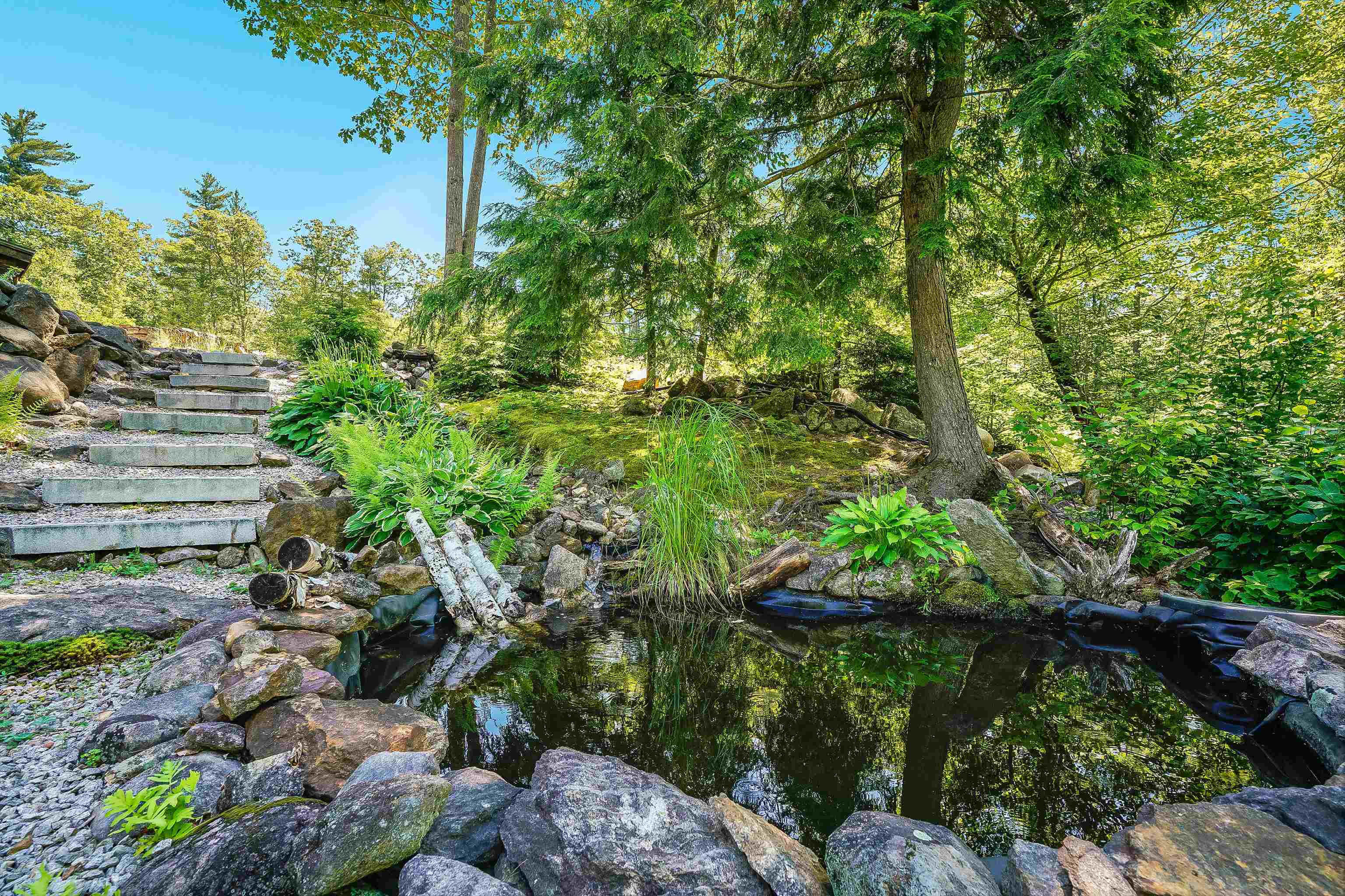 Pond & waterfall