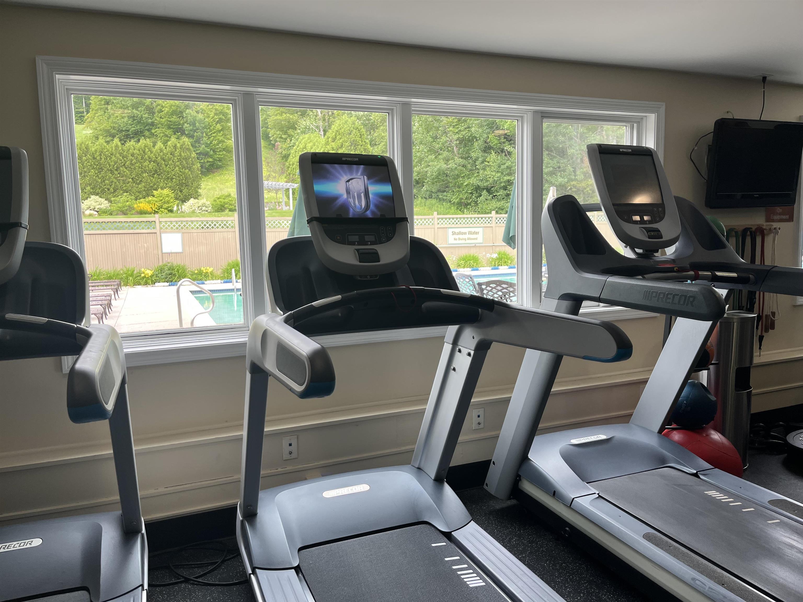 treadmill with a view