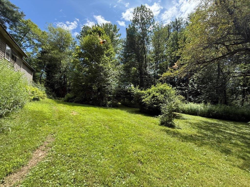 Nice Back Yard 23724973